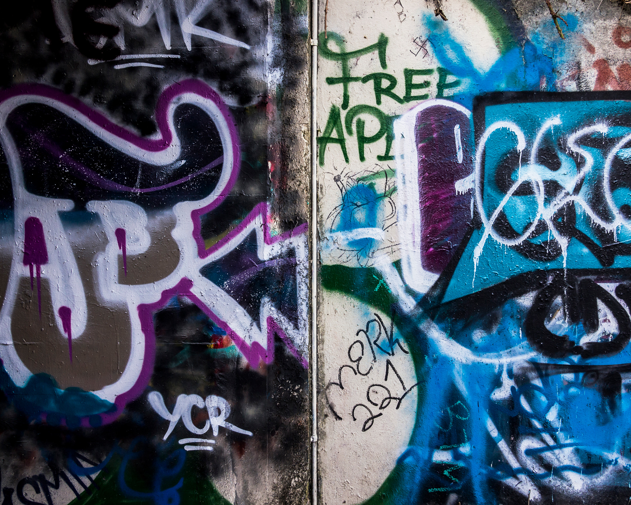 Olympus PEN E-PL3 sample photo. Eugene graffiti photography