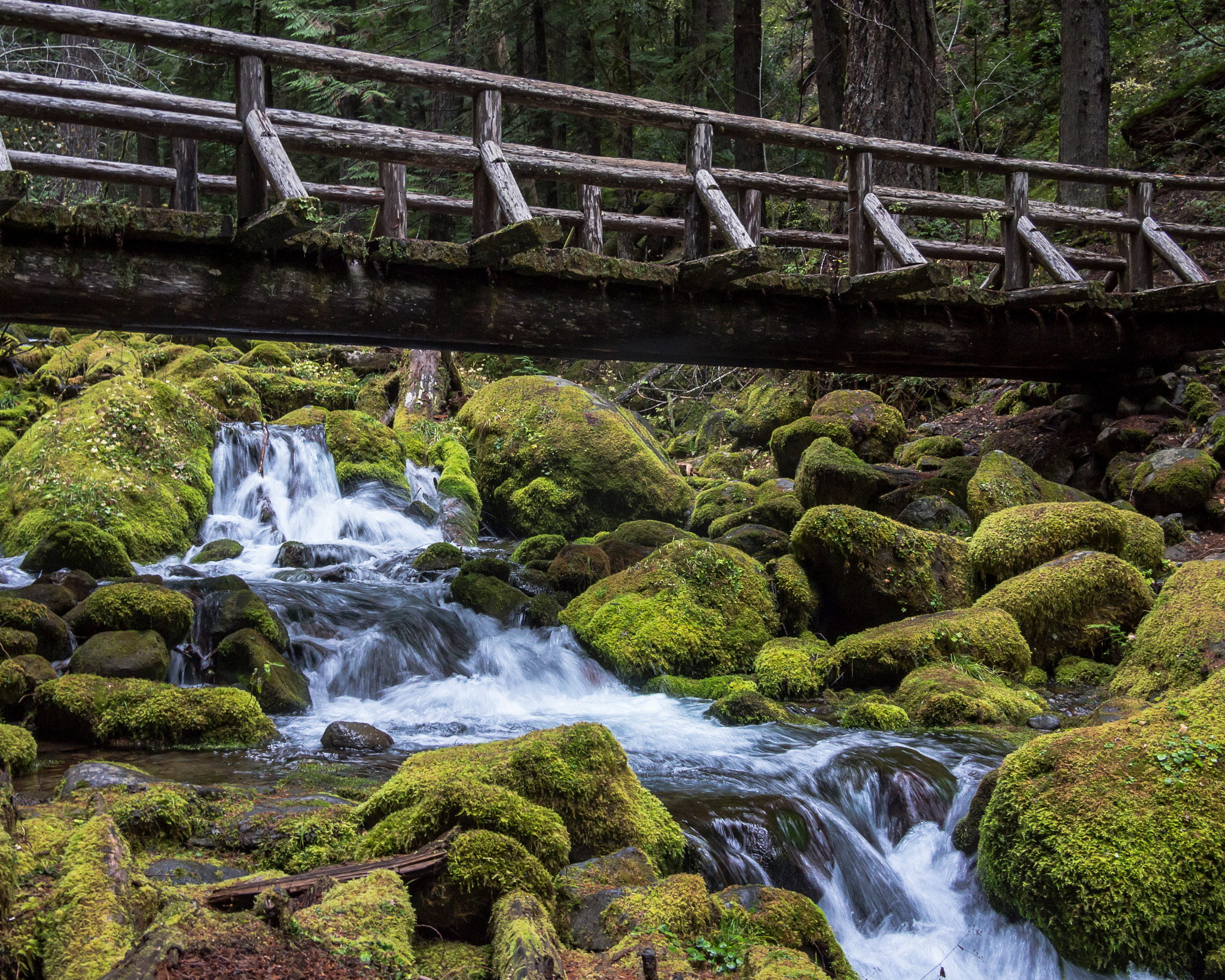 Olympus PEN E-PL3 + Panasonic Lumix G 20mm F1.7 ASPH sample photo. Breitenbush bridge photography