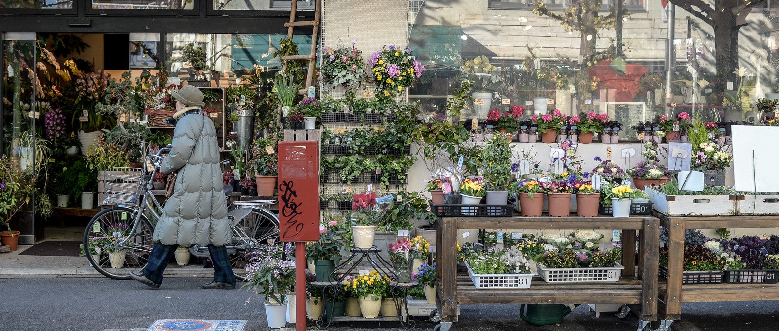 Nikon Df + ZEISS Planar T* 50mm F1.4 sample photo. Flower shop photography