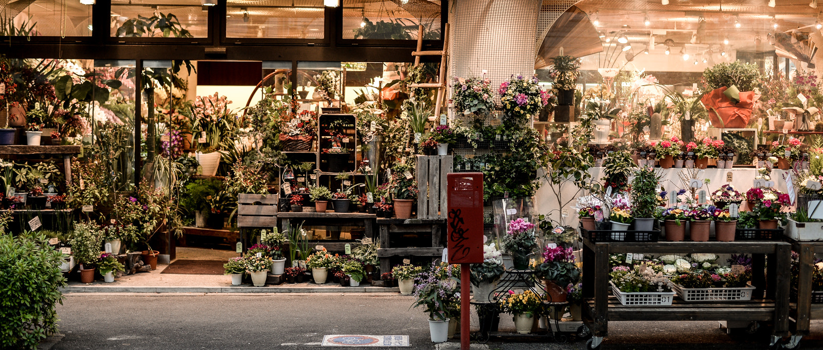 Nikon Df + ZEISS Planar T* 50mm F1.4 sample photo. Flower shop photography