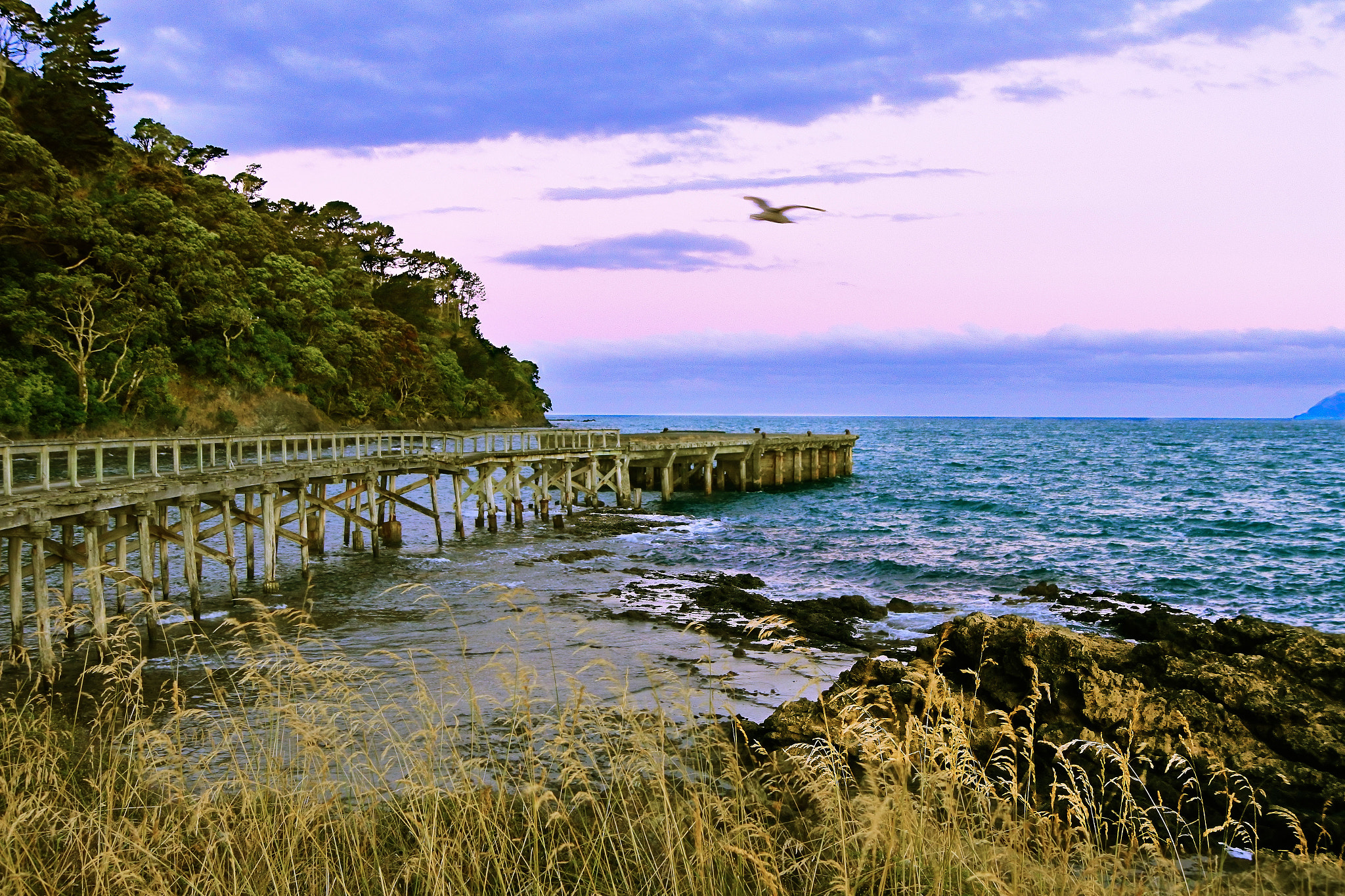 1 NIKKOR VR 10-100mm f/4-5.6 sample photo. The wharf photography