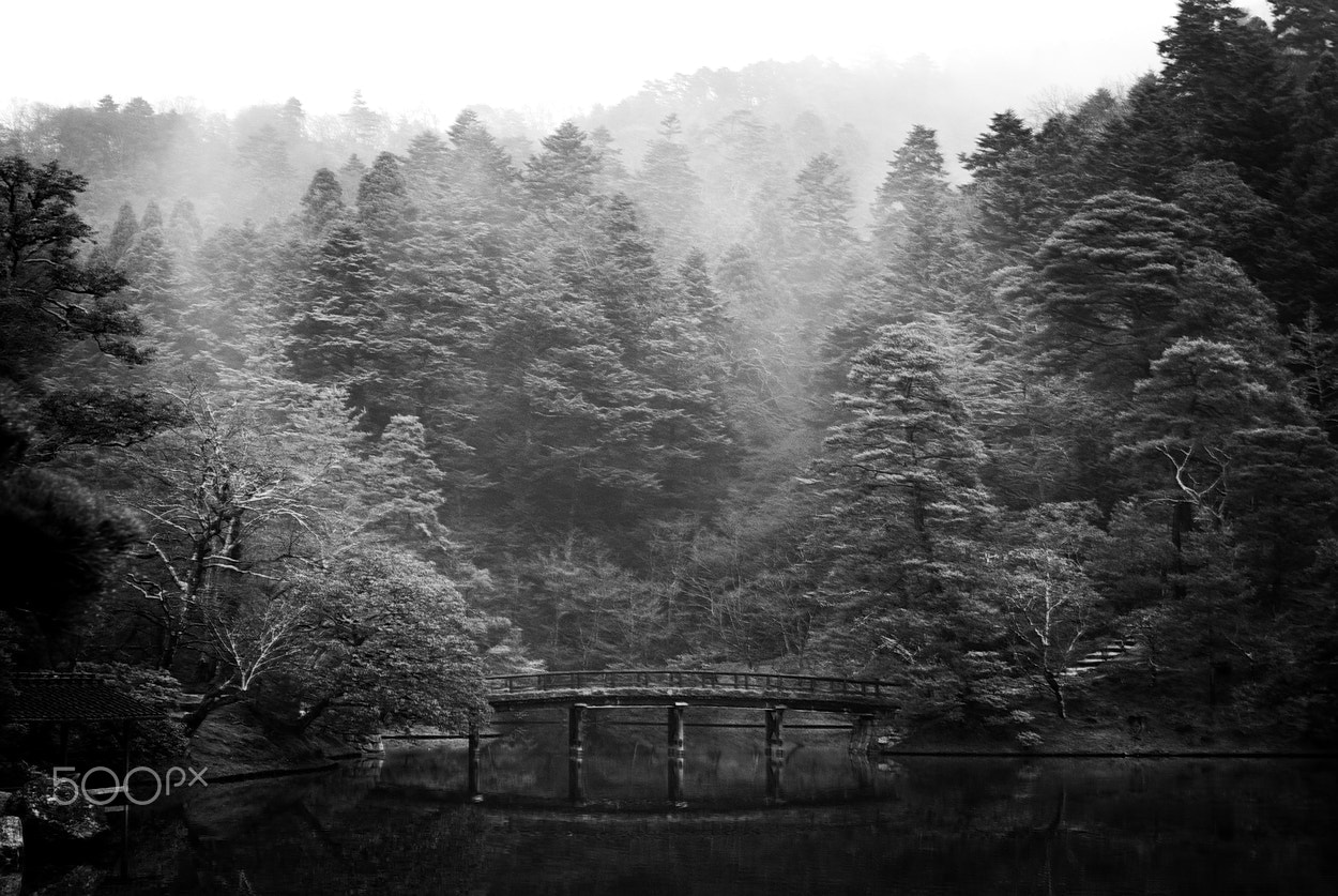 Nikon D40X + Nikon AF-S DX Nikkor 35mm F1.8G sample photo. Unchanged place #2 photography