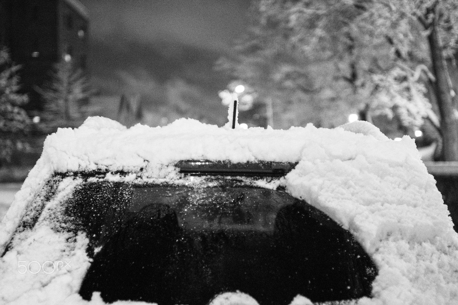 Sony 35mm F1.4 G sample photo. Jan 12 photography