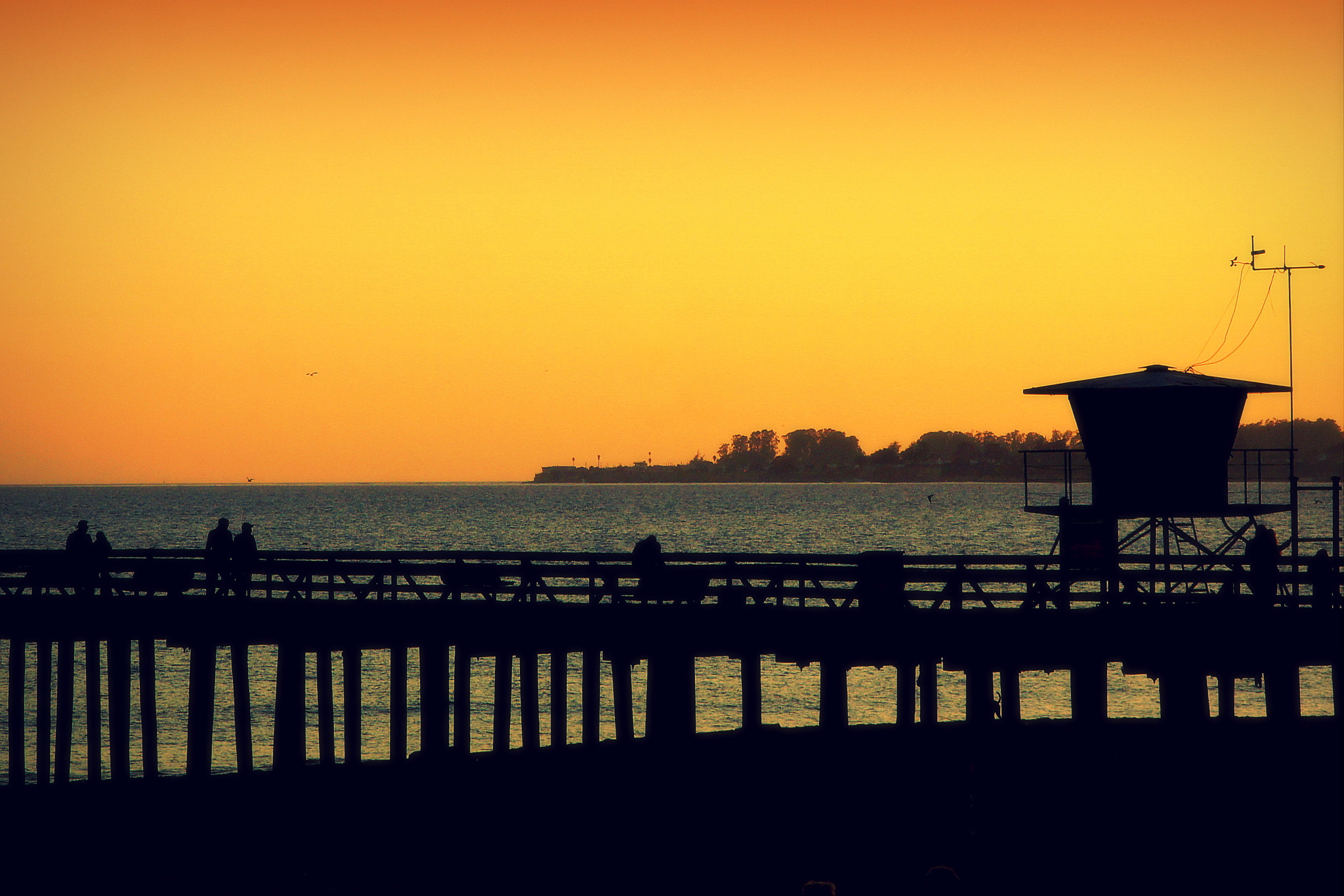 Sigma 17-70mm F2.8-4.5 (D) sample photo. California dreamin photography