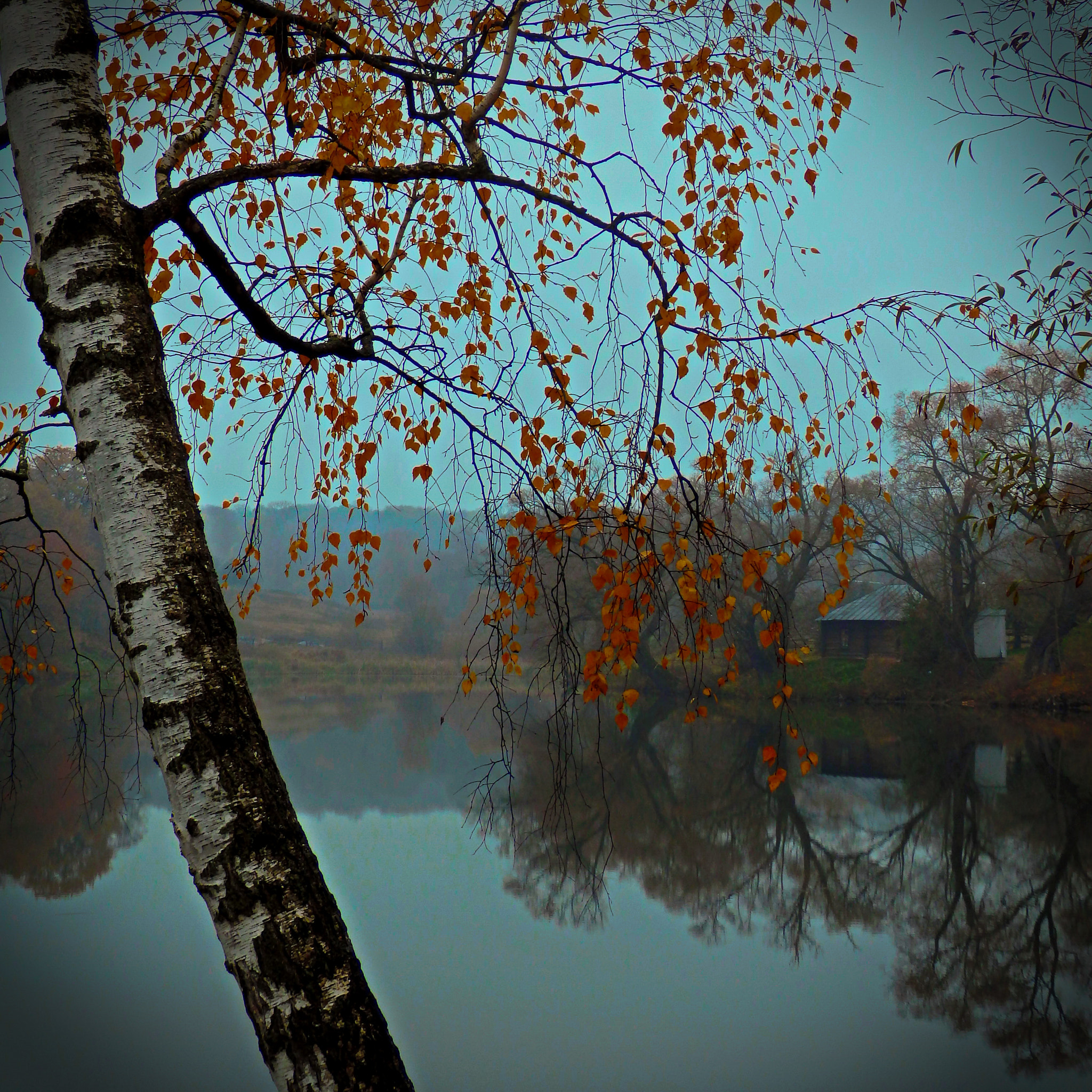 Olympus SH-50 sample photo. Autumn photography