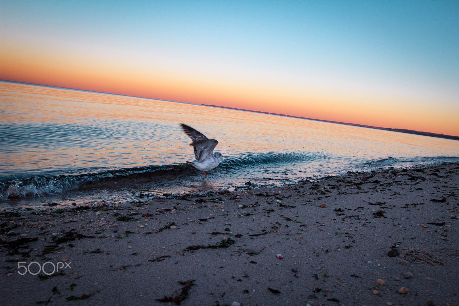 Canon EF 16-35mm F2.8L II USM sample photo. Take flight photography