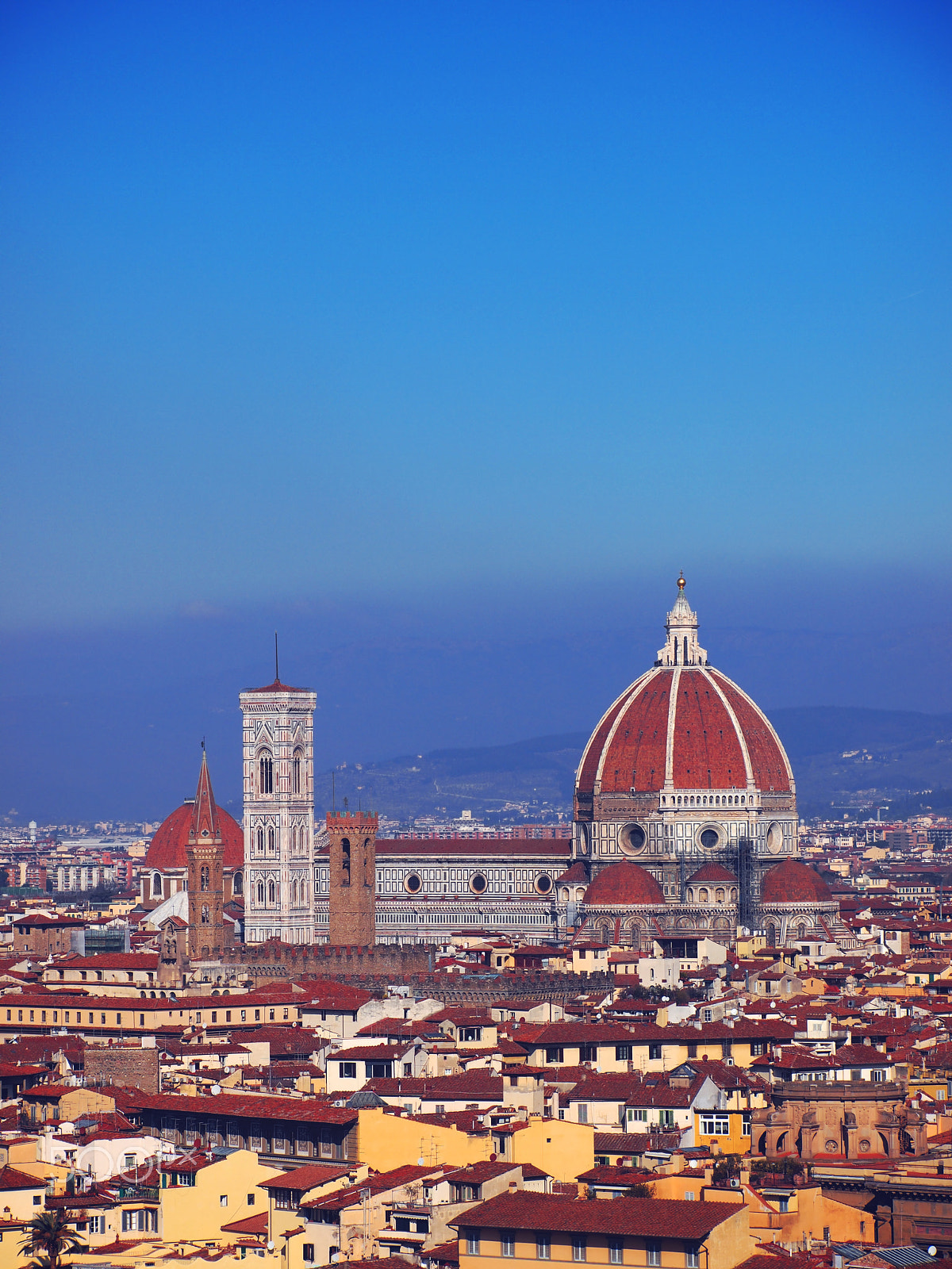Olympus Zuiko Digital ED 40-150mm F4.0-5.6 sample photo. Florence, italy photography