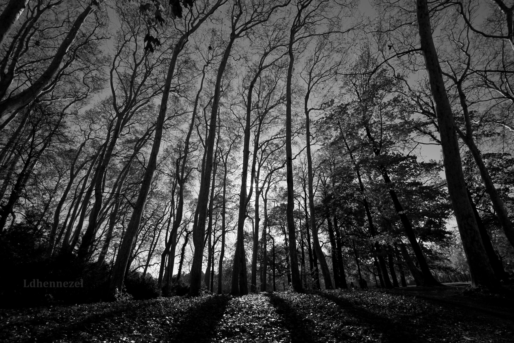 Sigma 10-20mm F3.5 EX DC HSM sample photo. Darkness photography