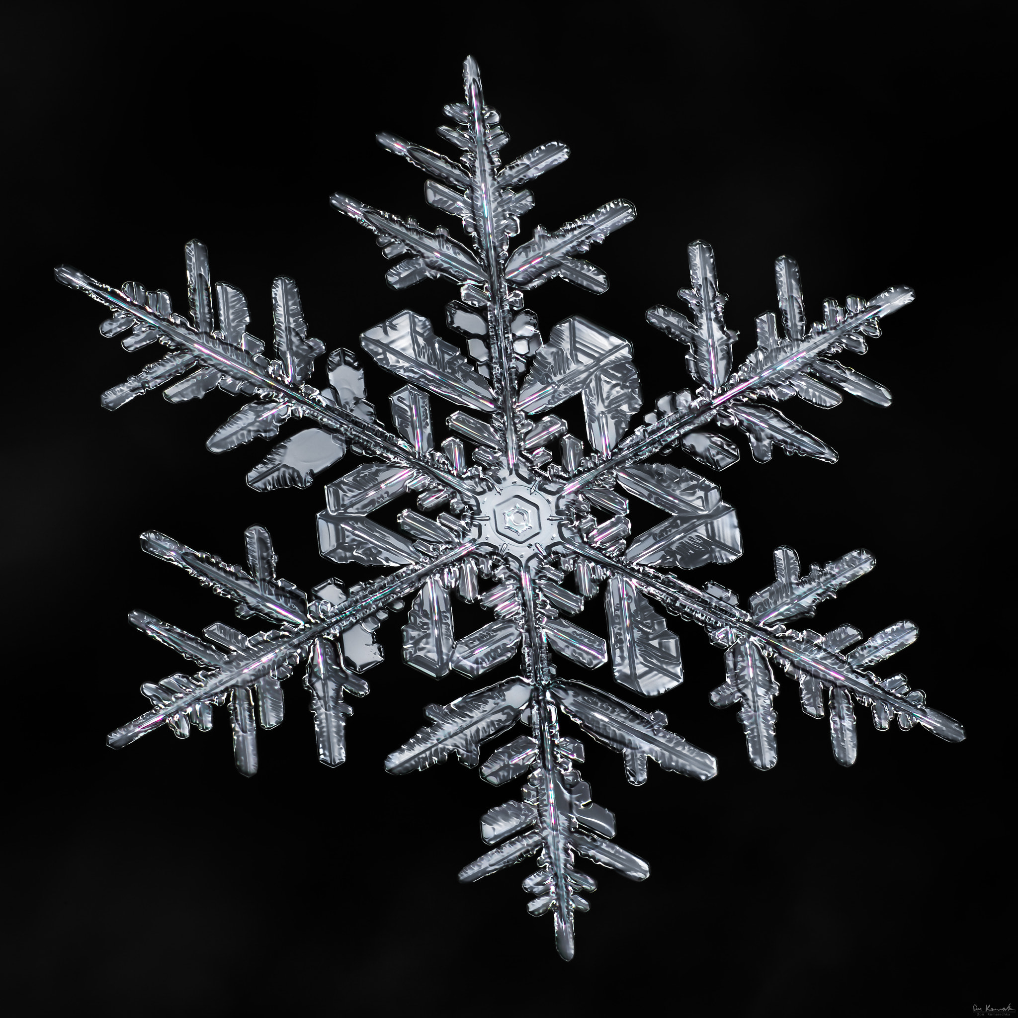Canon MP-E 65mm F2.5 1-5x Macro Photo sample photo. Snowflake-a-day #43 photography