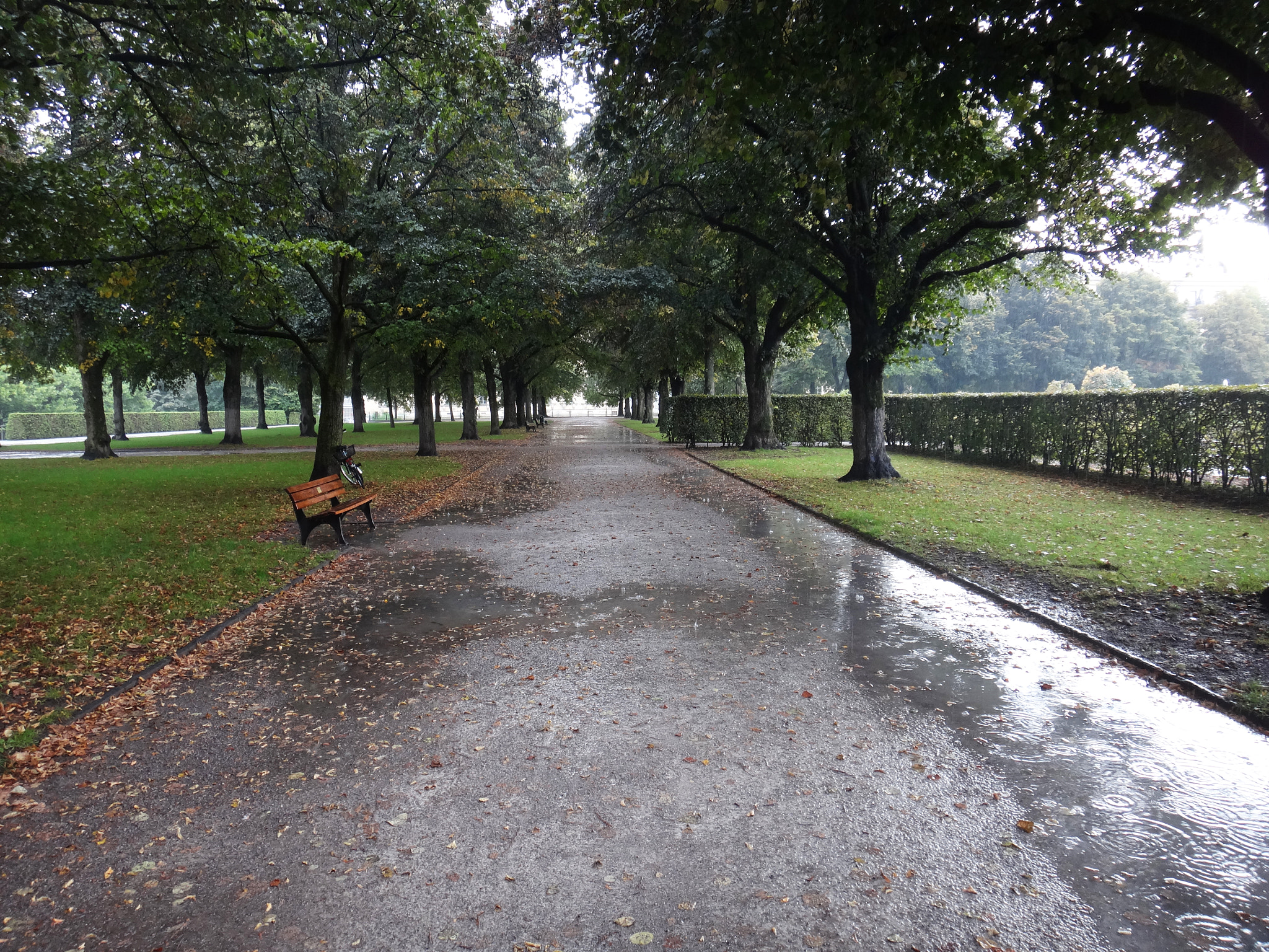 Sony DSC-TX20 sample photo. Germany rain photography