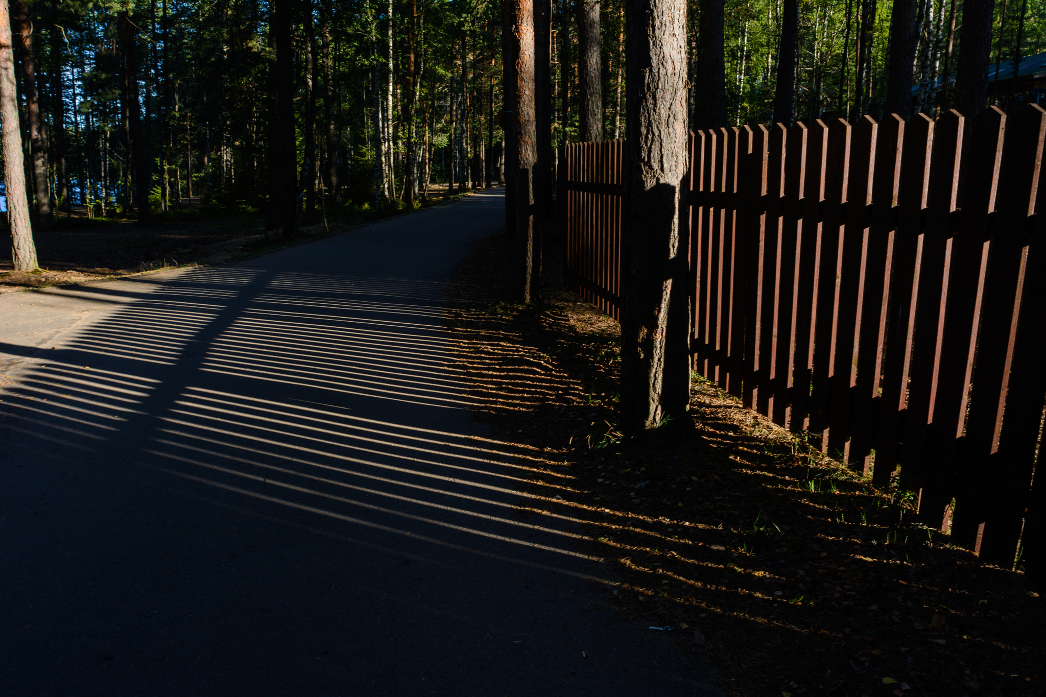 Nikon D7100 + Nikon AF Nikkor 20mm F2.8D sample photo. Geometry of nature photography