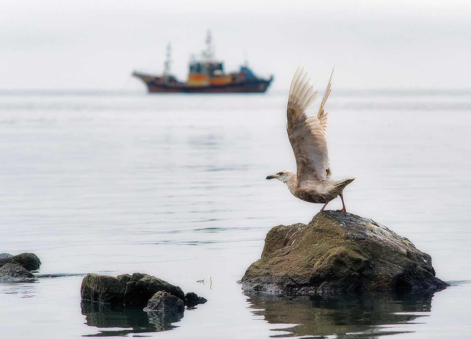 Sony Sonnar T* 135mm F1.8 ZA sample photo. Takeoff. photography
