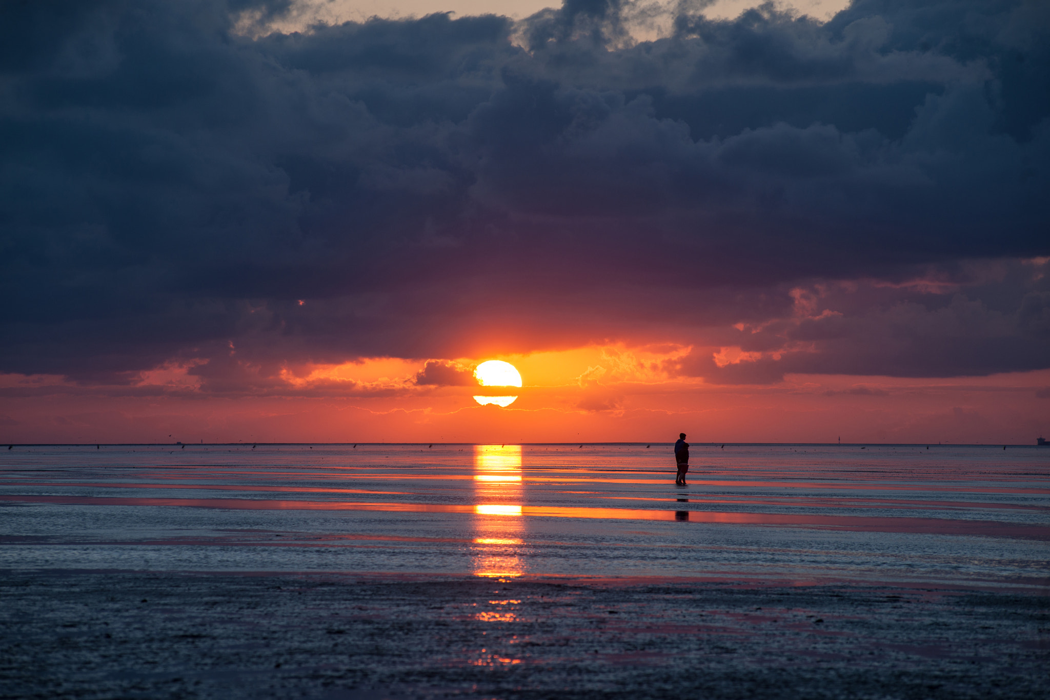 AF Zoom-Nikkor 80-200mm f/2.8 ED sample photo. Wattenmeer photography