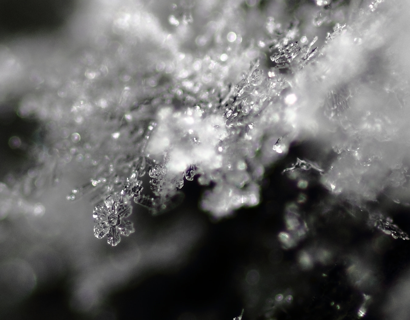 Canon 90mm sample photo. Snow crystal photography