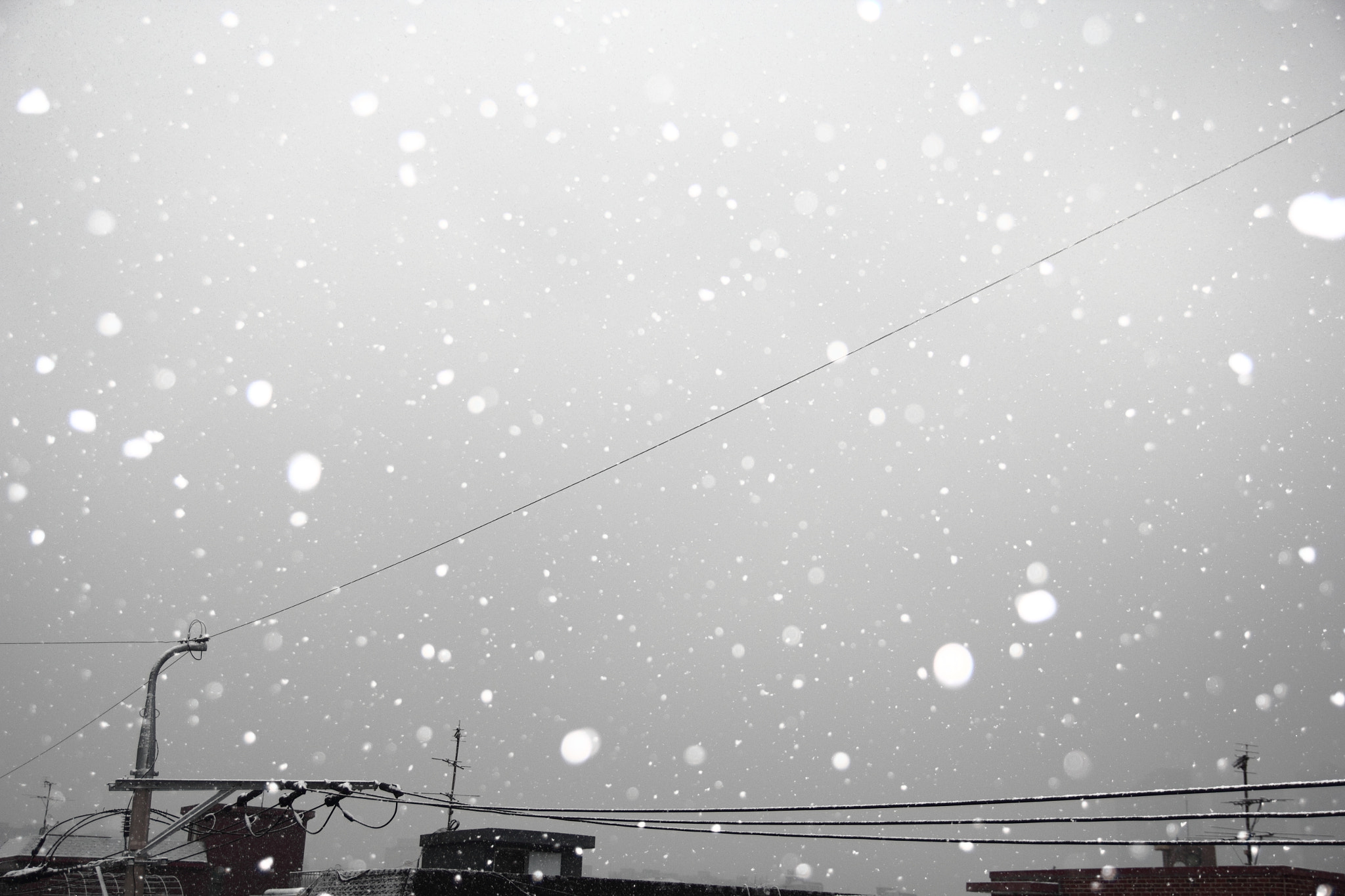 Canon 17-50mm sample photo. Snowing late afternoon photography