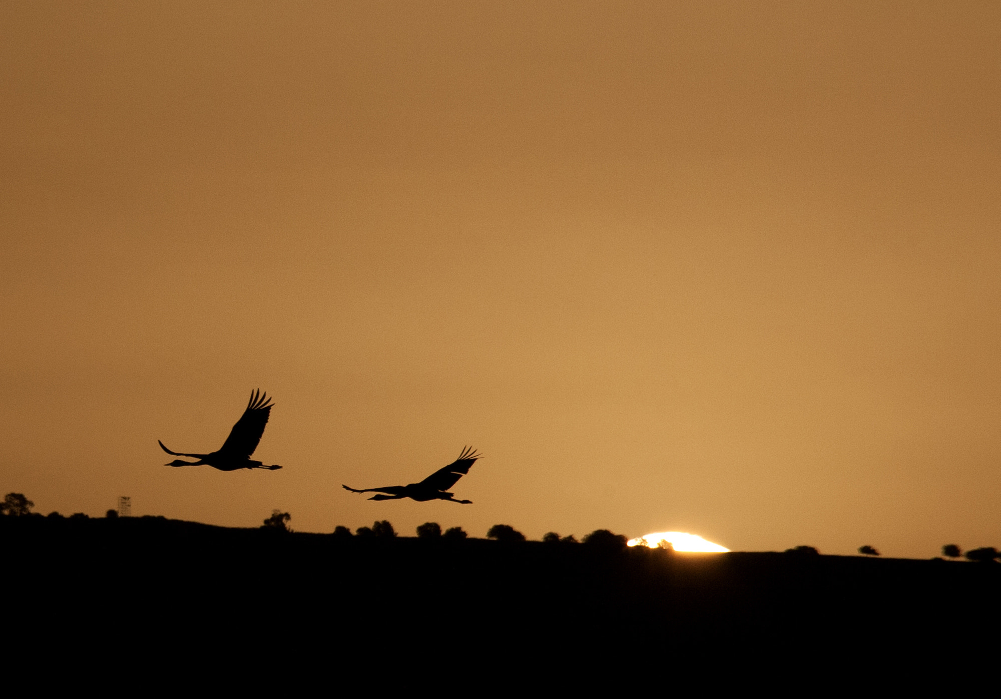 Canon EF 28-300mm F3.5-5.6L IS USM sample photo. Sunrise photography