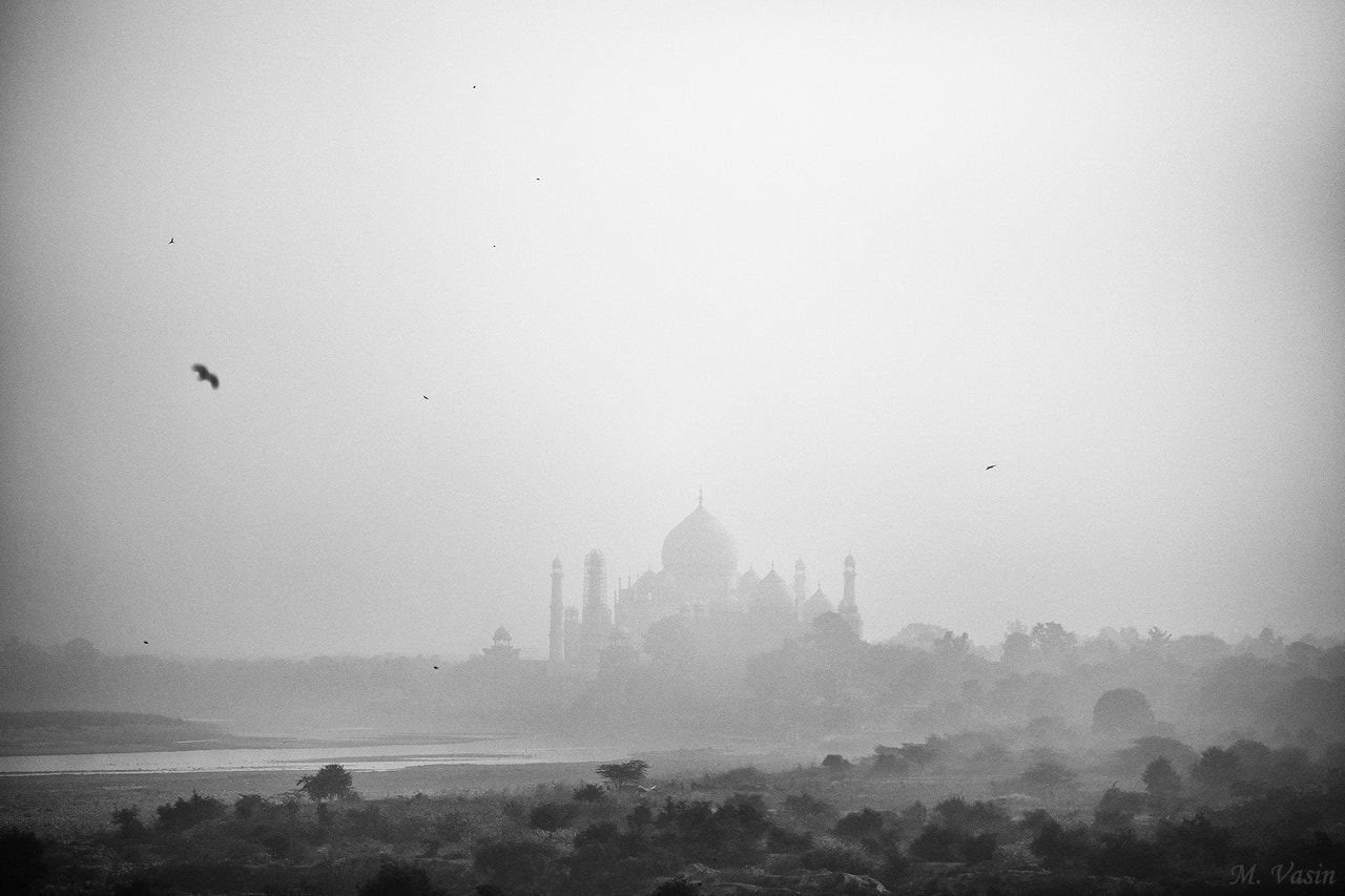Sony Sonnar T* 135mm F1.8 ZA sample photo. Taj-mahal photography