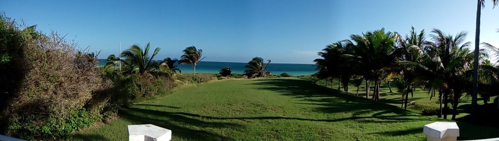 HTC DESIRE 820S DUAL SIM sample photo