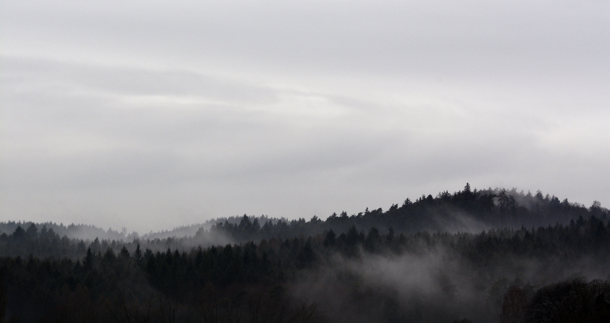 AF Zoom-Nikkor 35-135mm f/3.5-4.5 sample photo. Der nebel nebelt photography