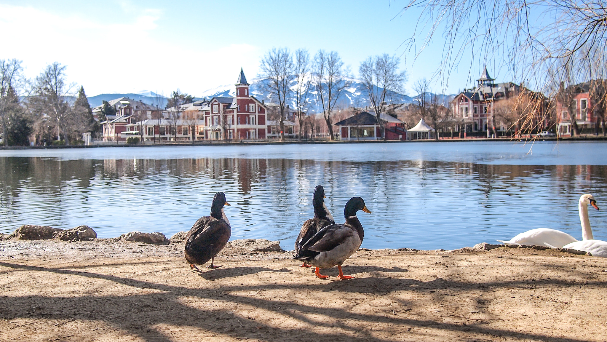 Olympus PEN E-PL1 + Panasonic Lumix G 20mm F1.7 ASPH sample photo. Puigcerda lake photography