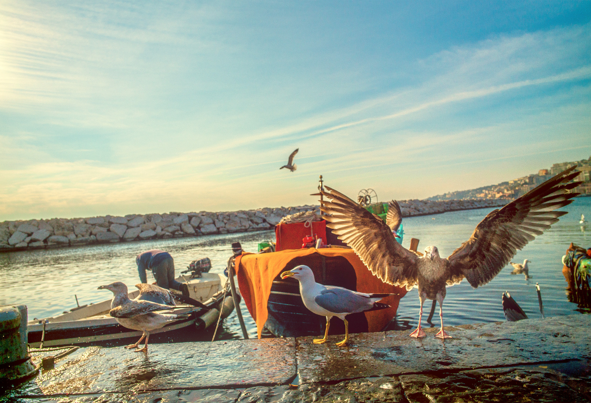 Elmarit-M 1:2.8/21 sample photo. Napoli analog photography