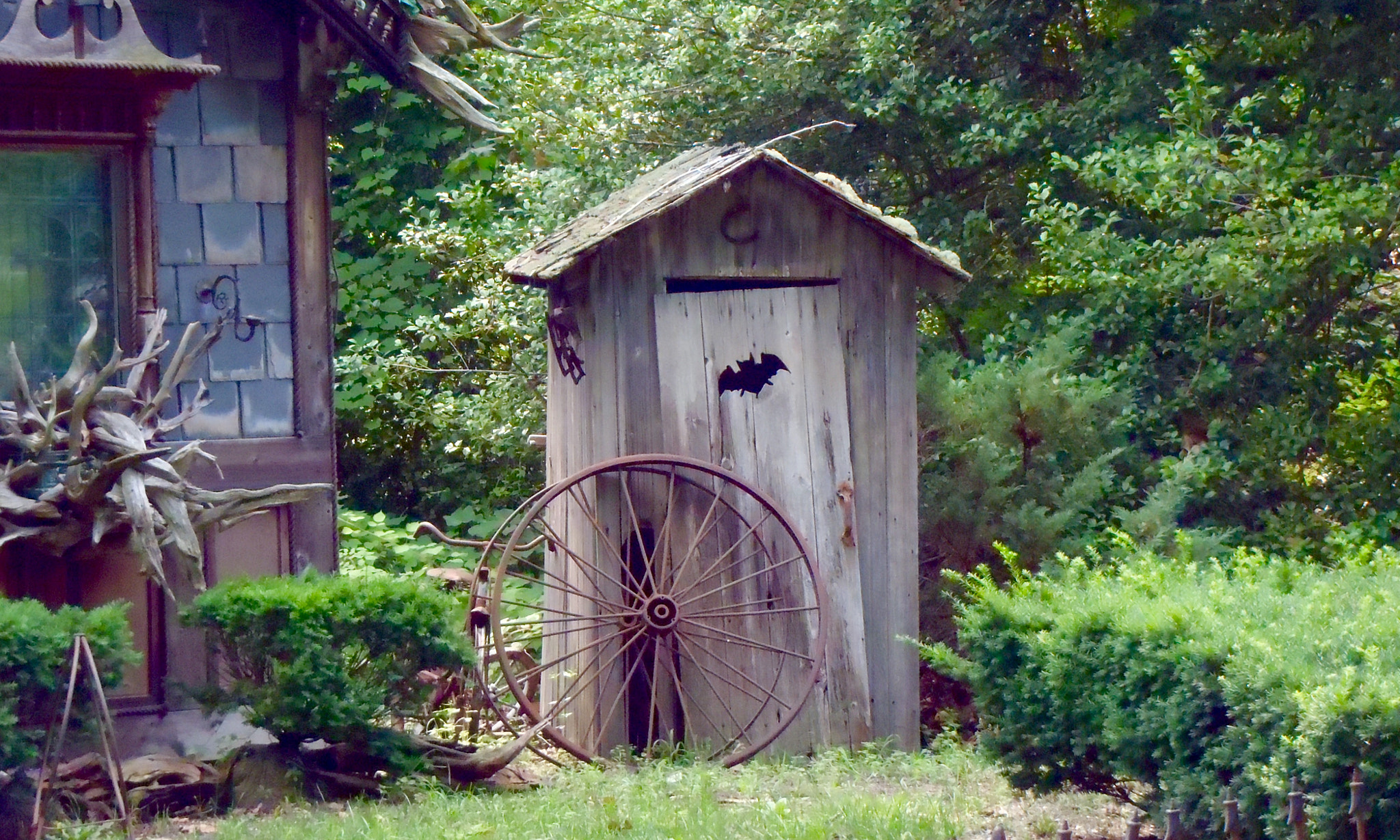 Olympus StylusTough-8010 sample photo. Bats an outhouse! photography