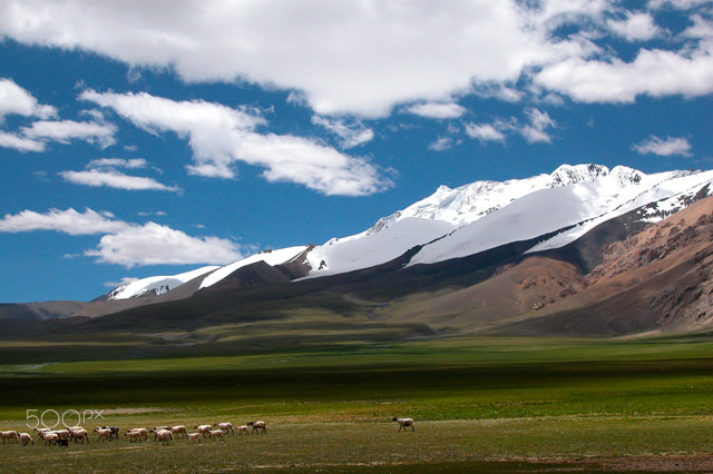 Nikon E5000 sample photo. Ali gaize of tibet photography