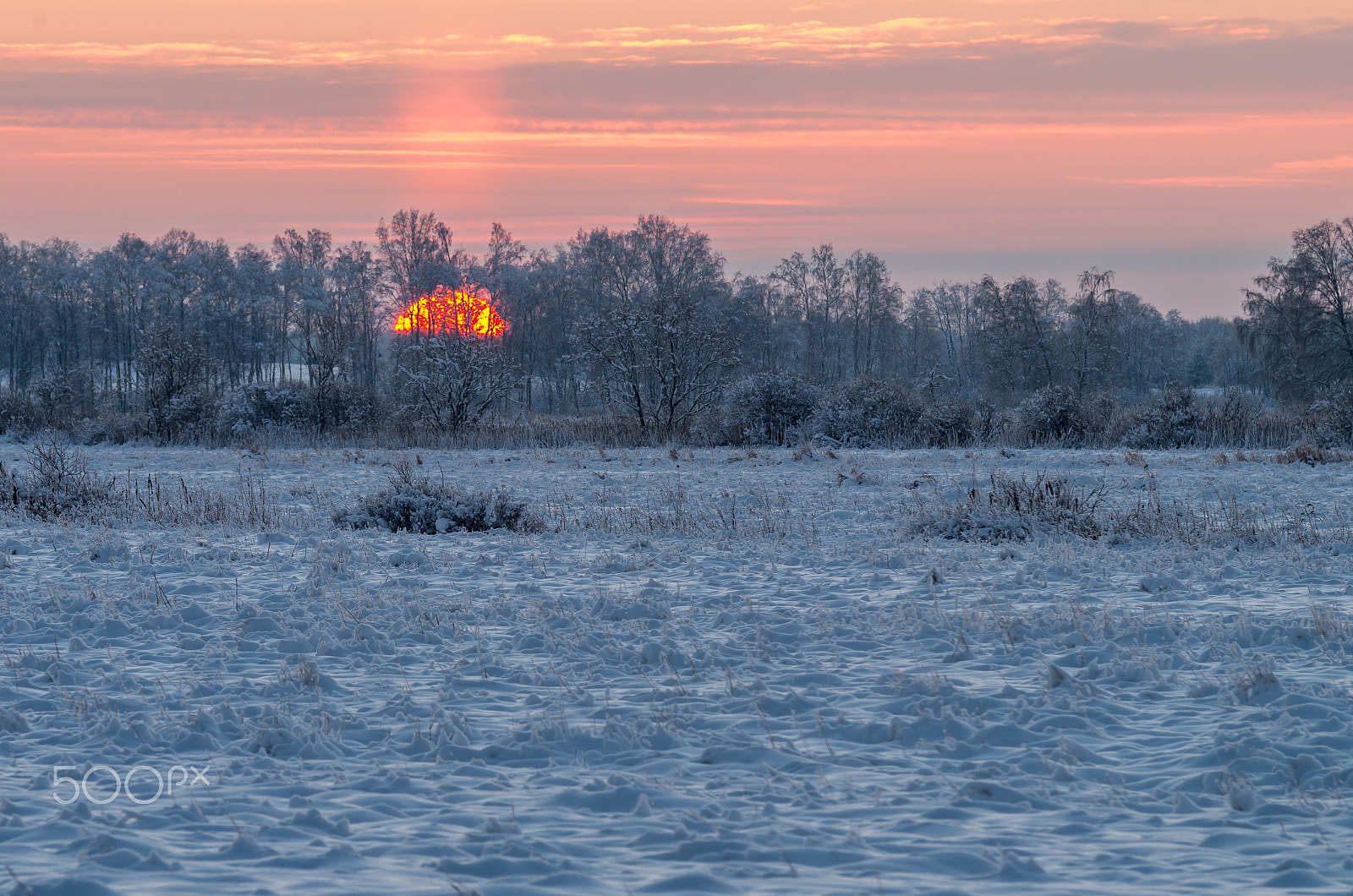 Pentax K-50 sample photo. Sunrise at snowy frosty field photography