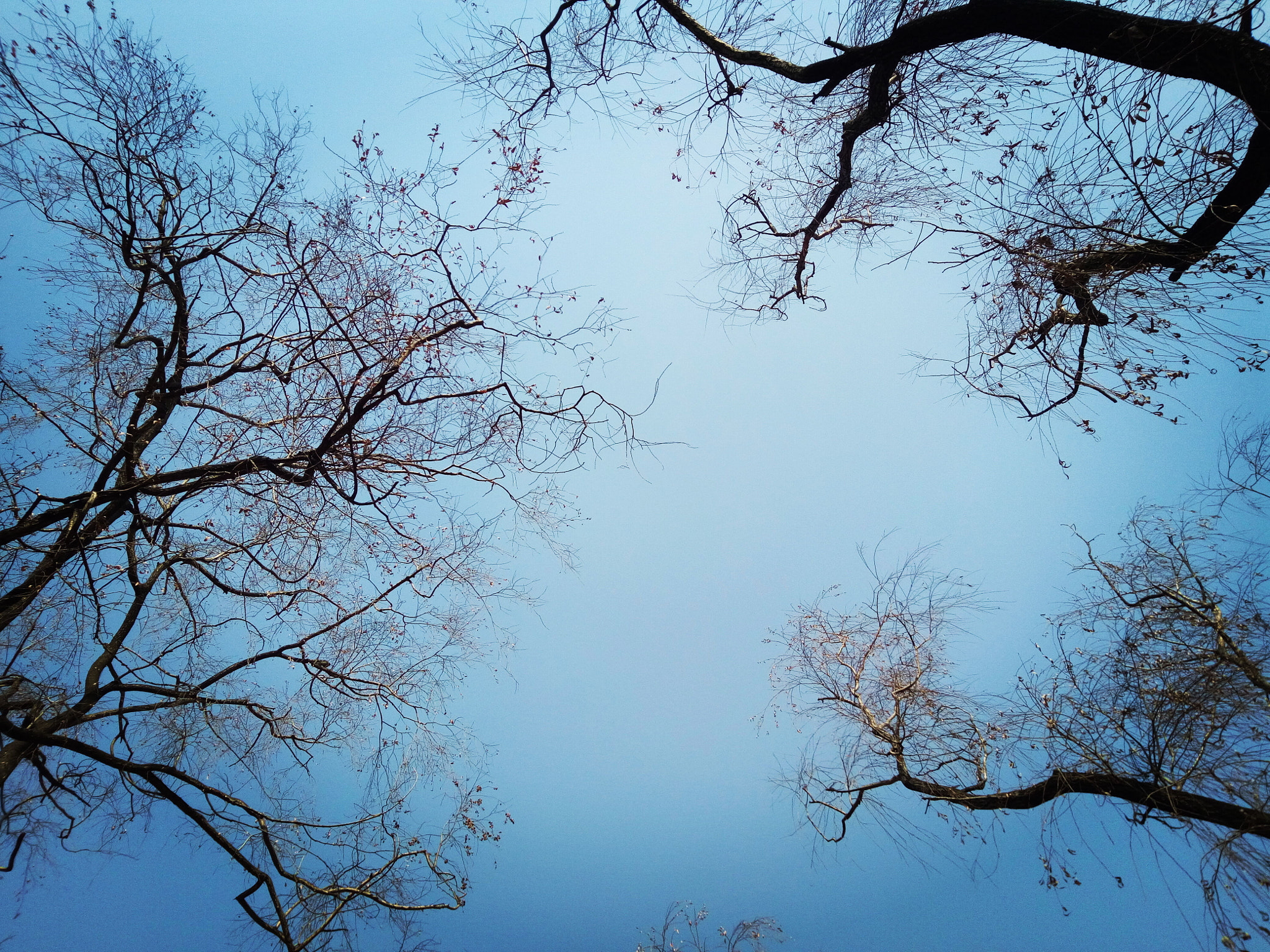OPPO R7 sample photo. See the sky photography