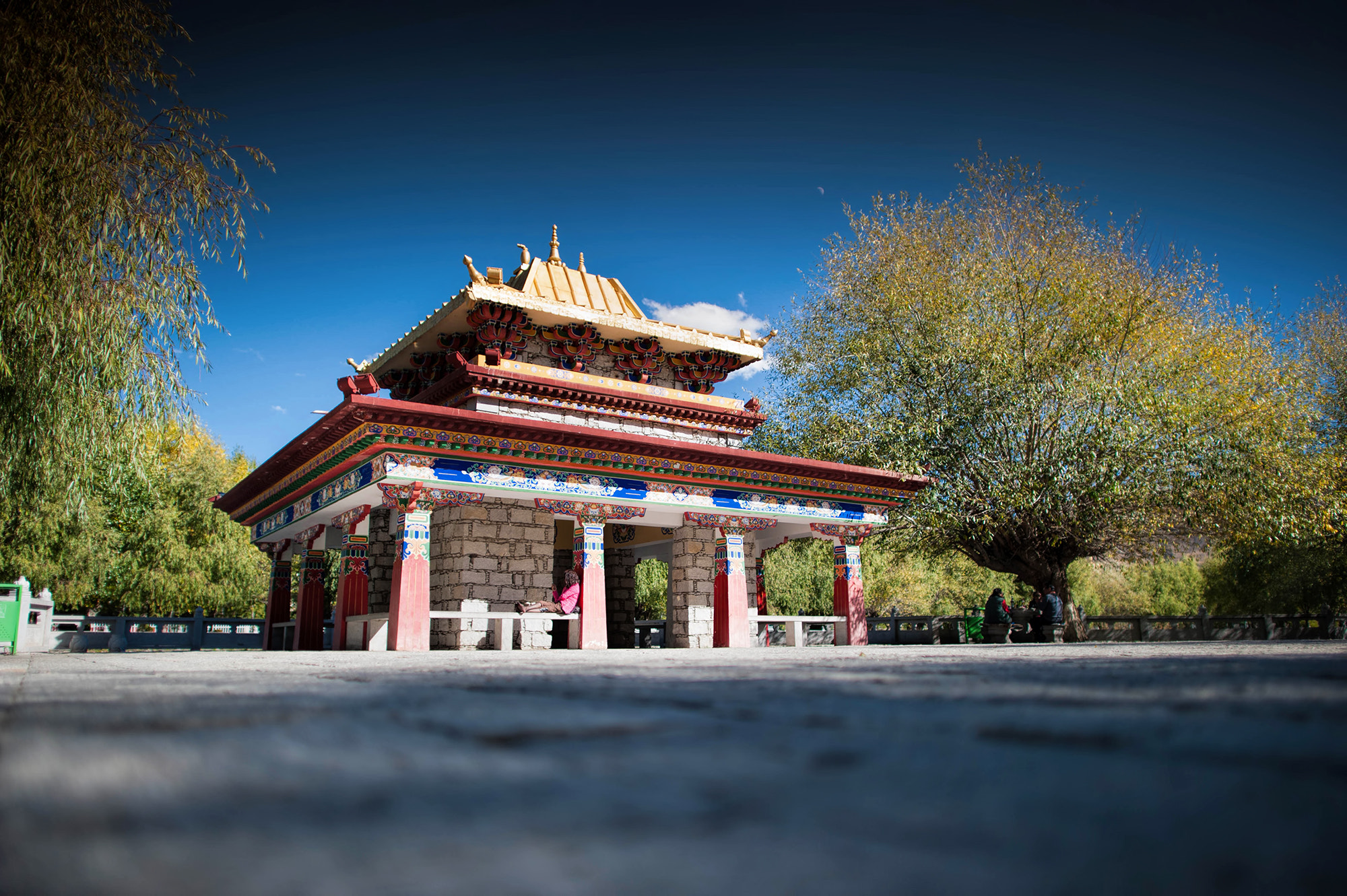Nikon D700 + Nikon AF-S Nikkor 24mm F1.4G ED sample photo. Tibet photography