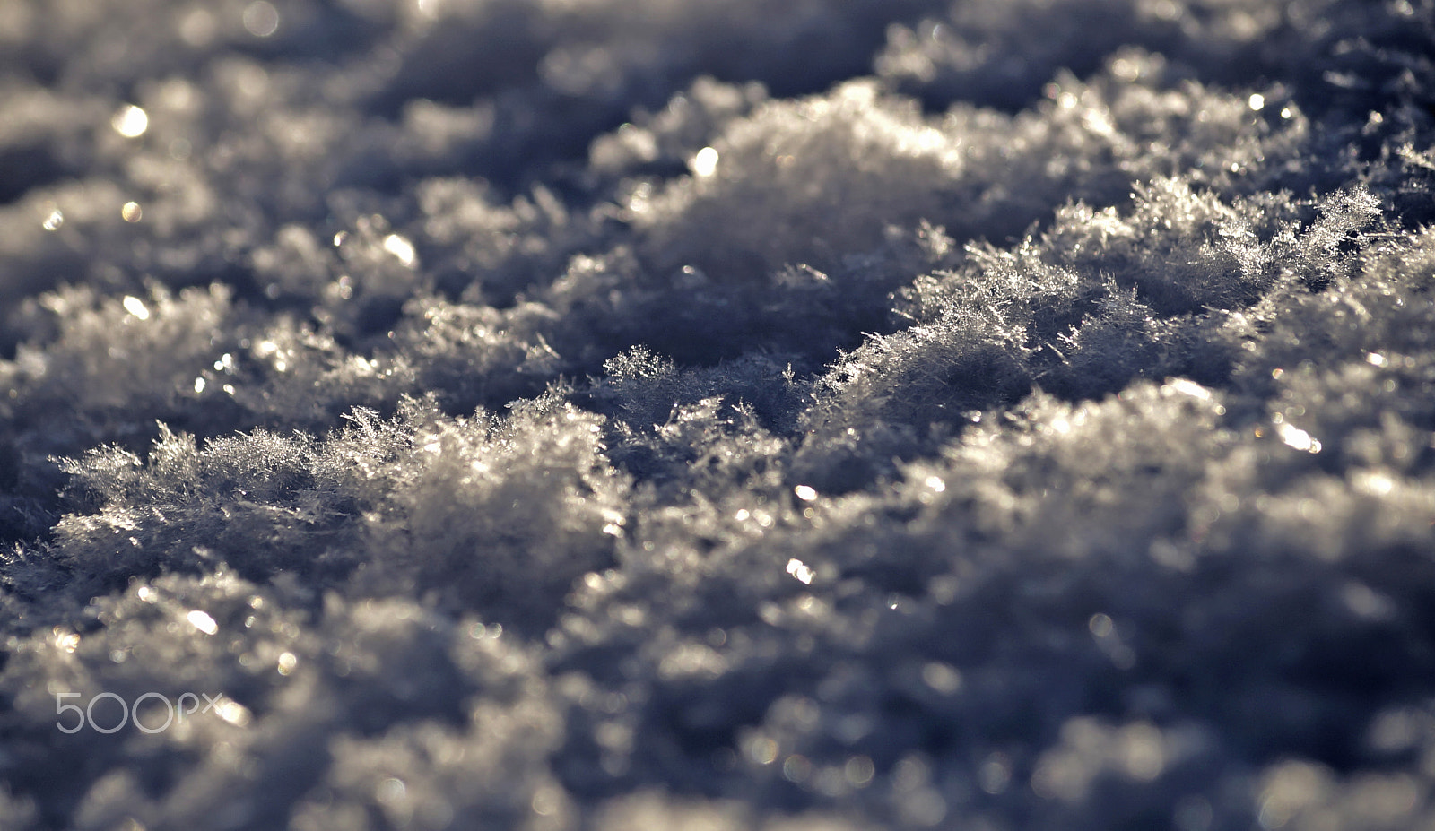 Sony a99 II + Sony DT 55-200mm F4-5.6 SAM sample photo. White and blue snow color playing photography