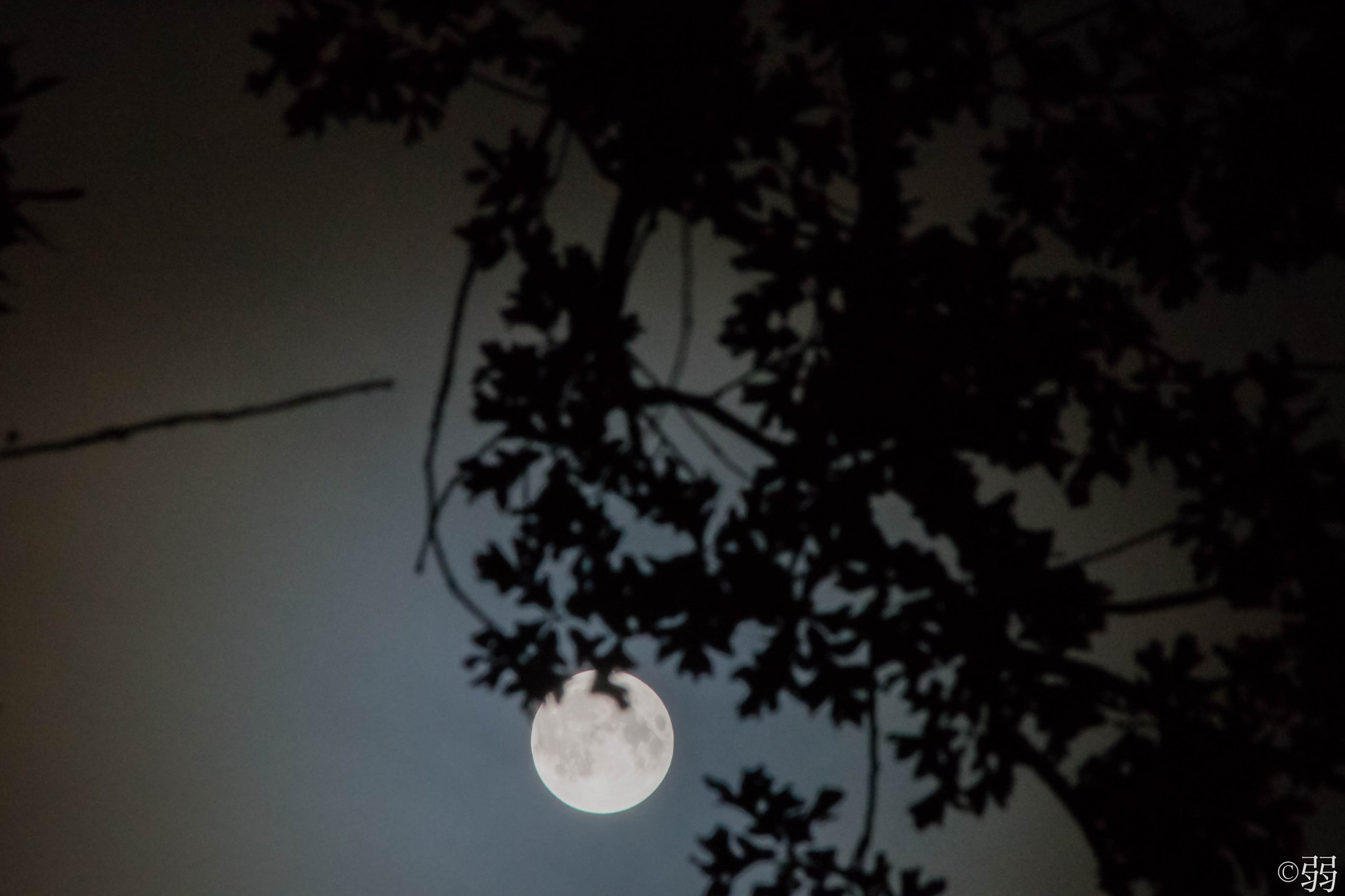 Sigma 18-250mm F3.5-6.3 DC Macro OS HSM sample photo. After lunar eclipse, petite jean photography
