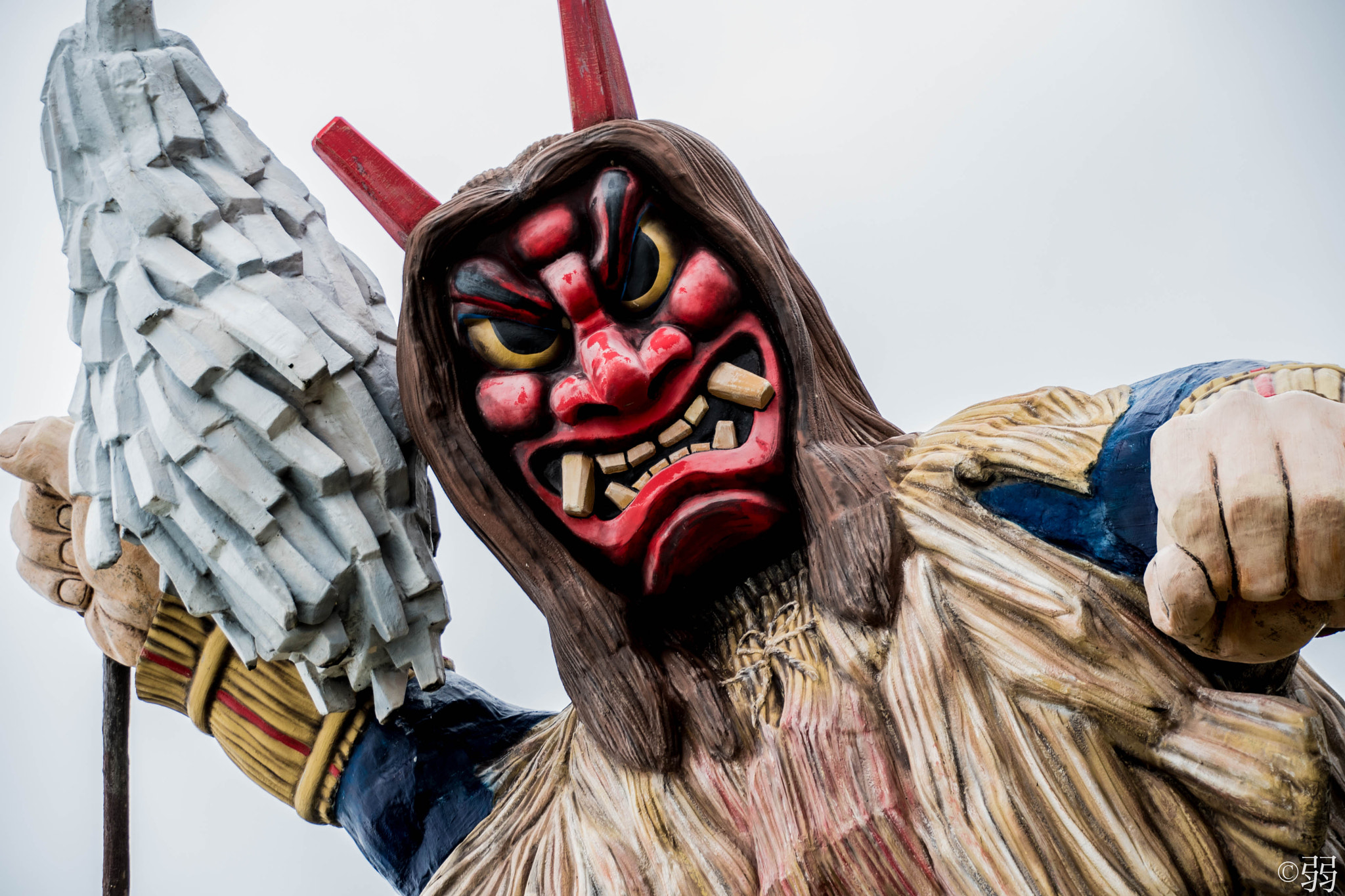 Sigma 18-250mm F3.5-6.3 DC Macro OS HSM sample photo. Red namahage photography