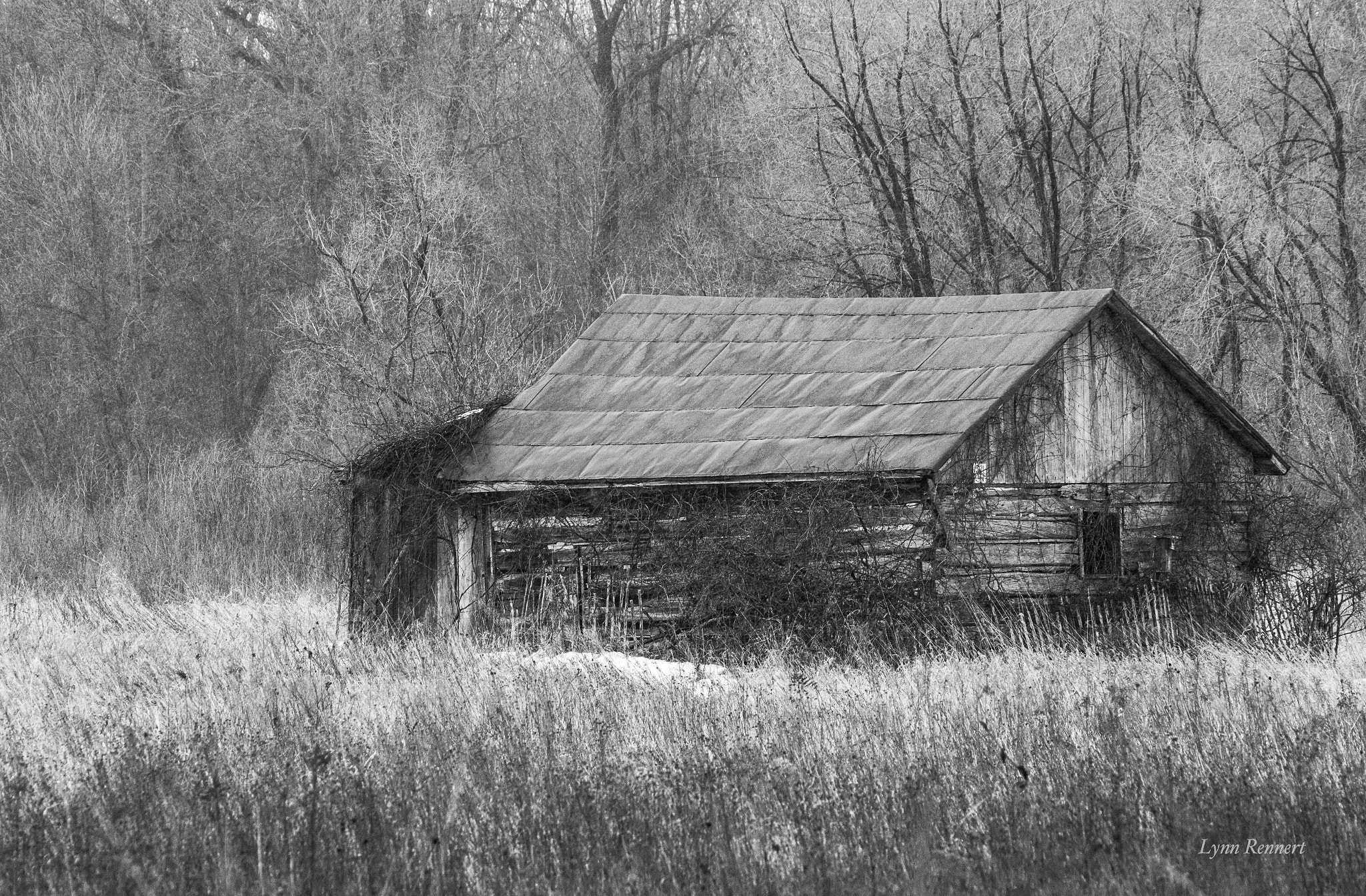 Sony 75-300mm F4.5-5.6 sample photo. The barn b w photography