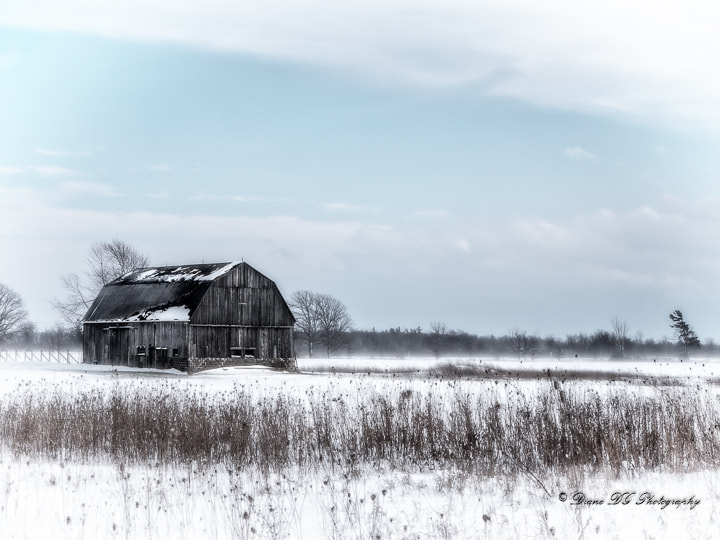 Panasonic Leica DG Nocticron 42.5mm F1.2 ASPH OIS sample photo. Winter in the country(of ) photography