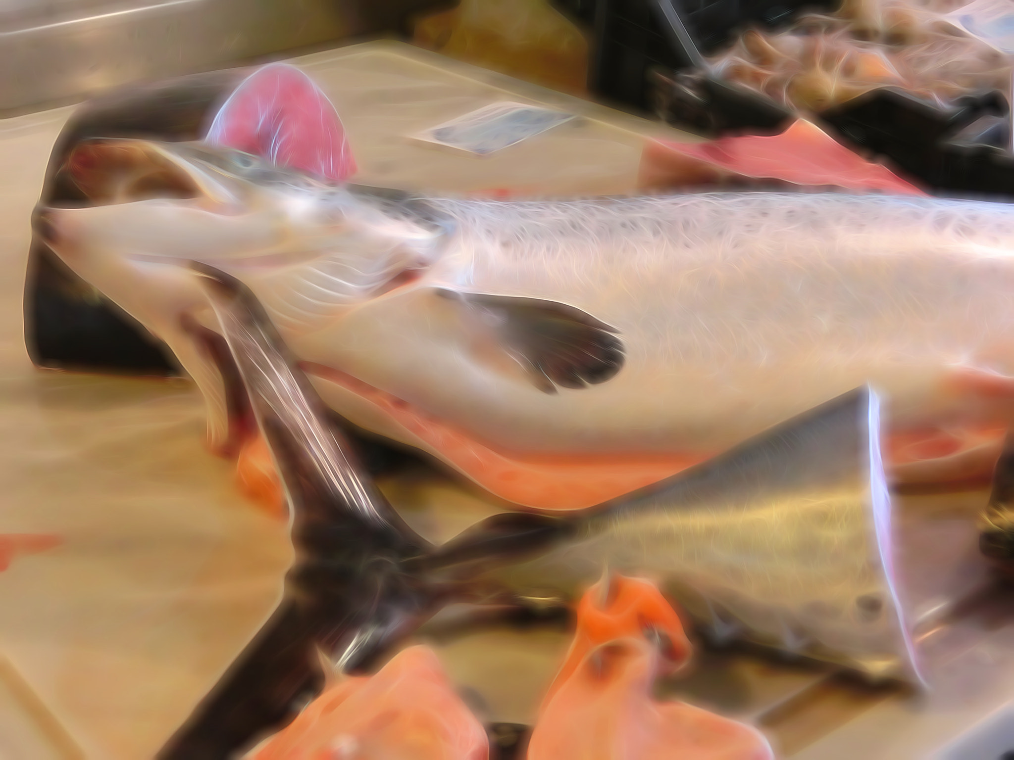 CASIO EX-ZR200 sample photo. Salmon photography