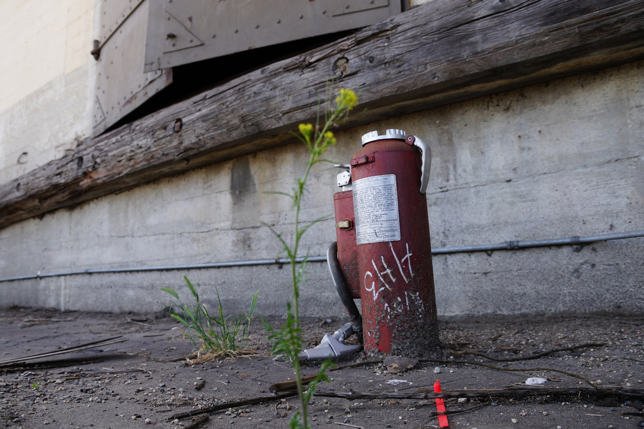 Sony DT 18-250mm F3.5-6.3 sample photo. Peaceful retirement for a fire extinguisher photography