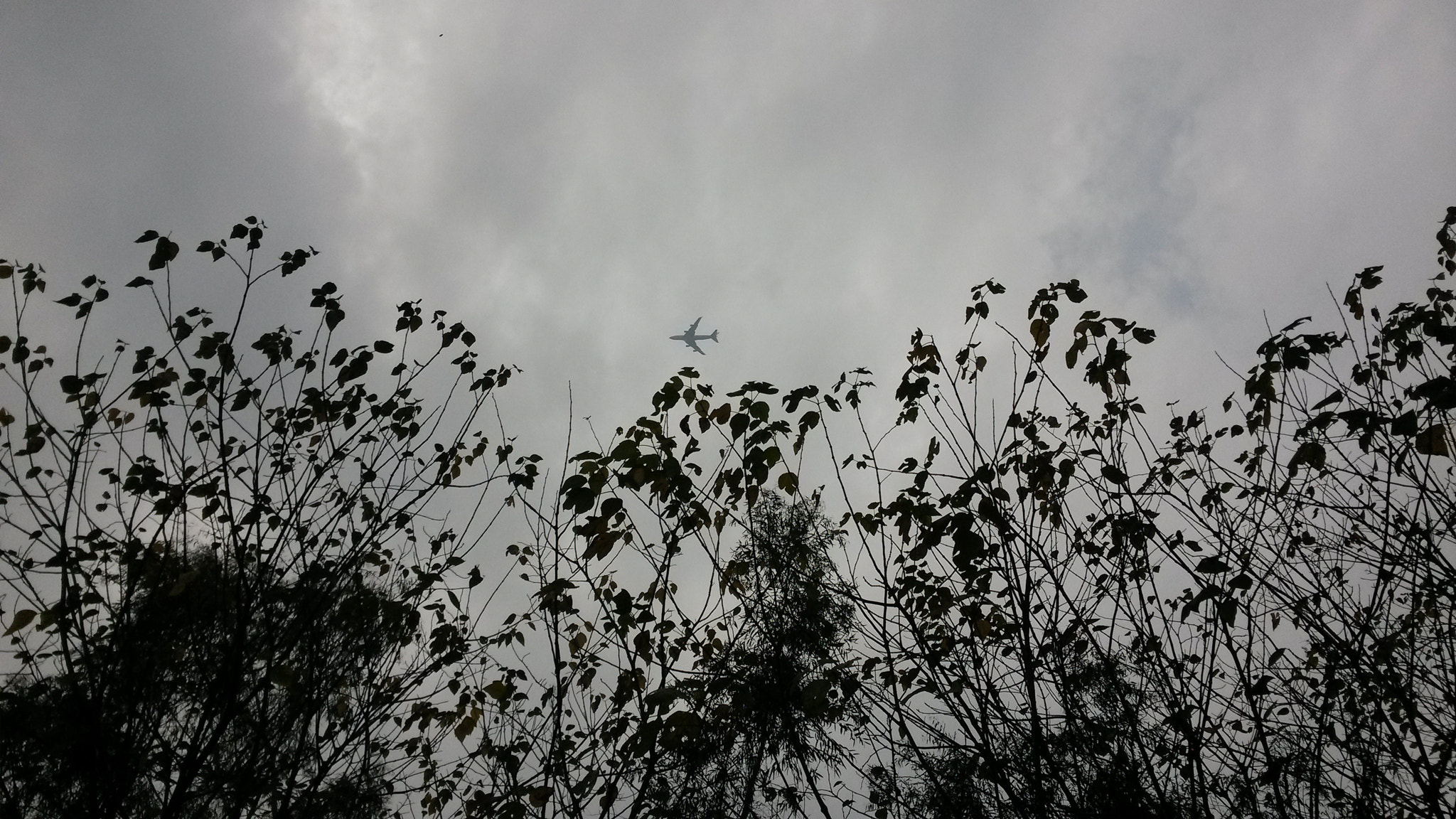 Samsung Galaxy Mega 6.3 sample photo