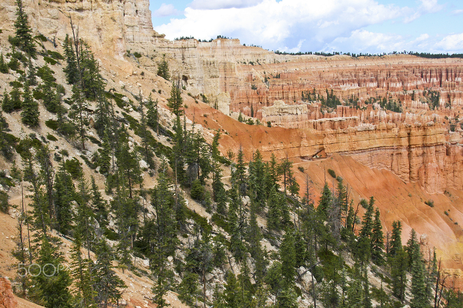 Canon EF 28-135mm F3.5-5.6 IS USM sample photo. The trail into bryce canyon photography