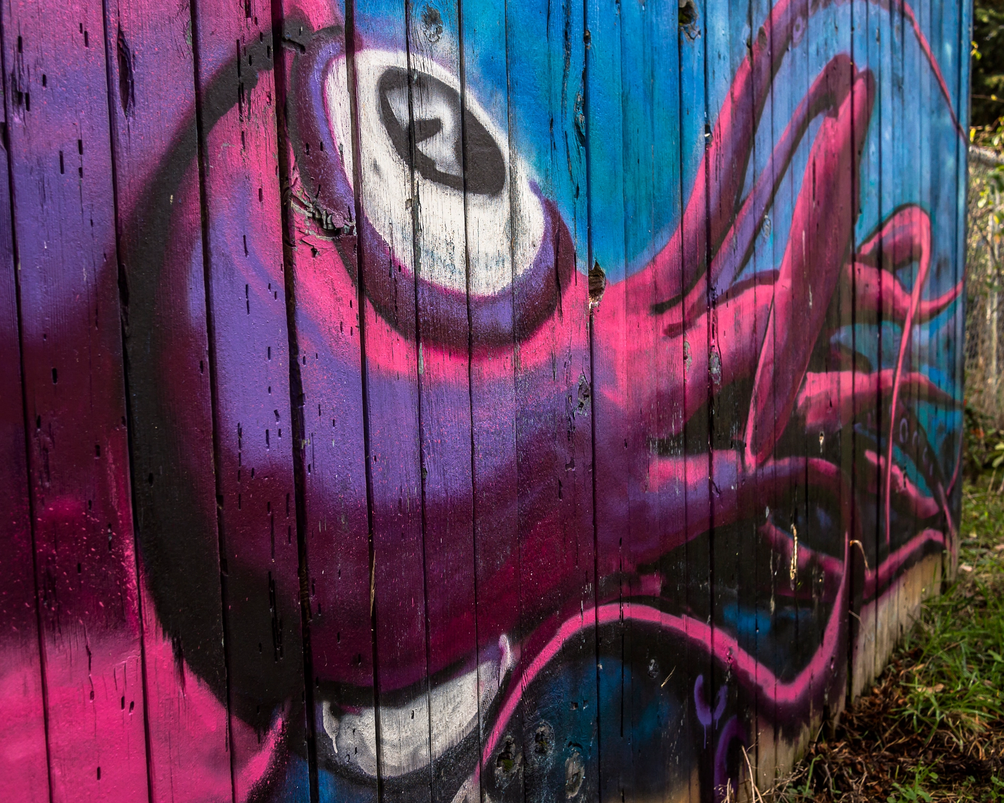 Olympus PEN E-PL3 + Panasonic Lumix G 20mm F1.7 ASPH sample photo. Eugene graffiti photography