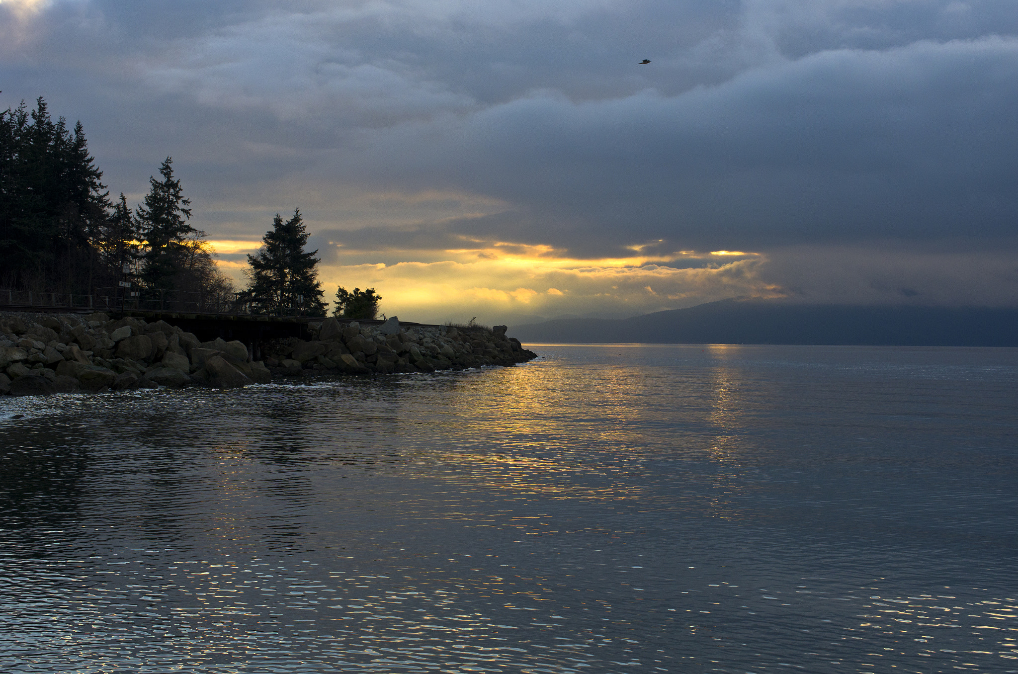 Pentax smc DA 35mm F2.8 Macro Limited sample photo. Marine park, bellingham photography