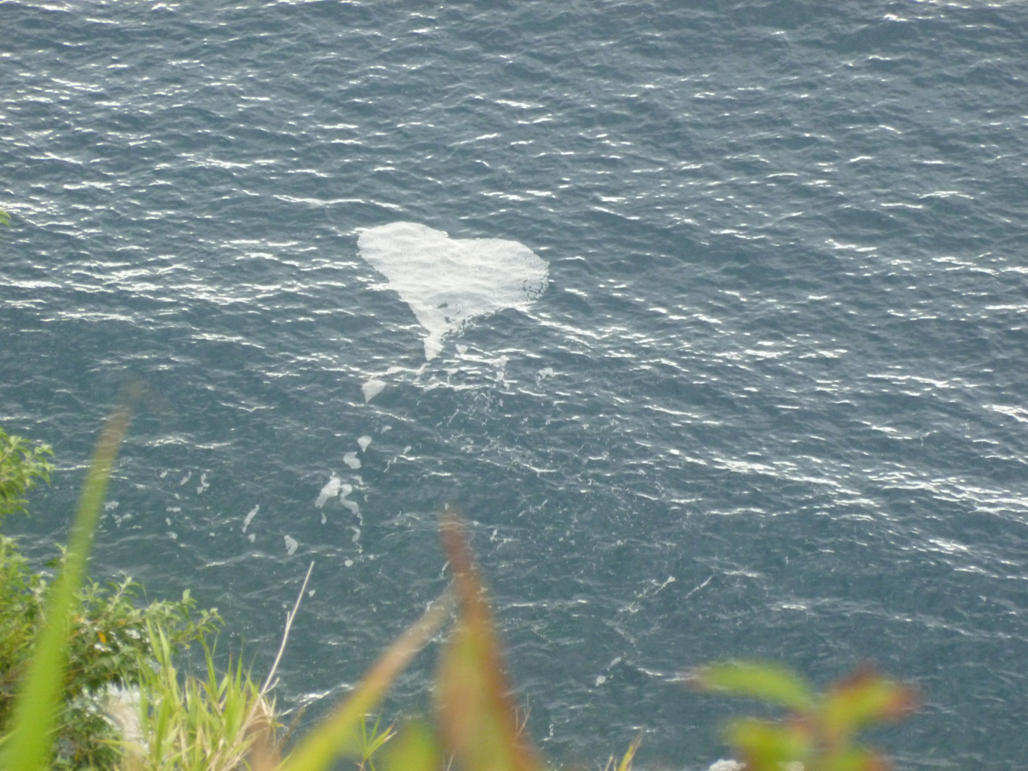 Panasonic Lumix DMC-FH25 (Lumix DMC-FS35) sample photo. Love the sea - lucky shot in a really old photo photography