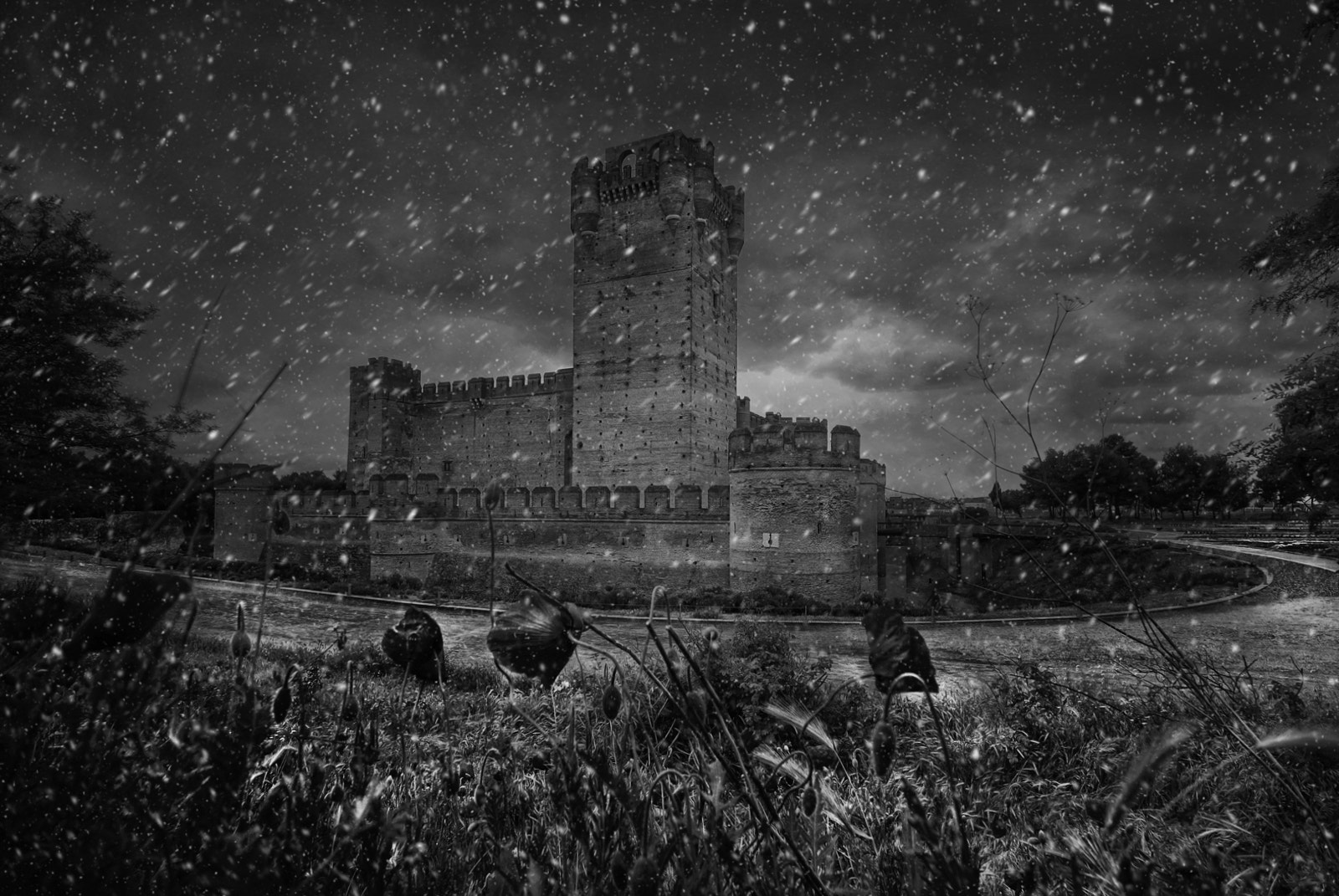 Nikon D200 sample photo. Medina del campo, winter photography