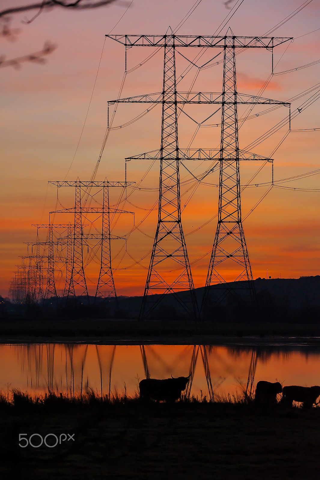 Sigma 50-500mm F4.5-6.3 DG OS HSM sample photo. Powerfull sunset photography