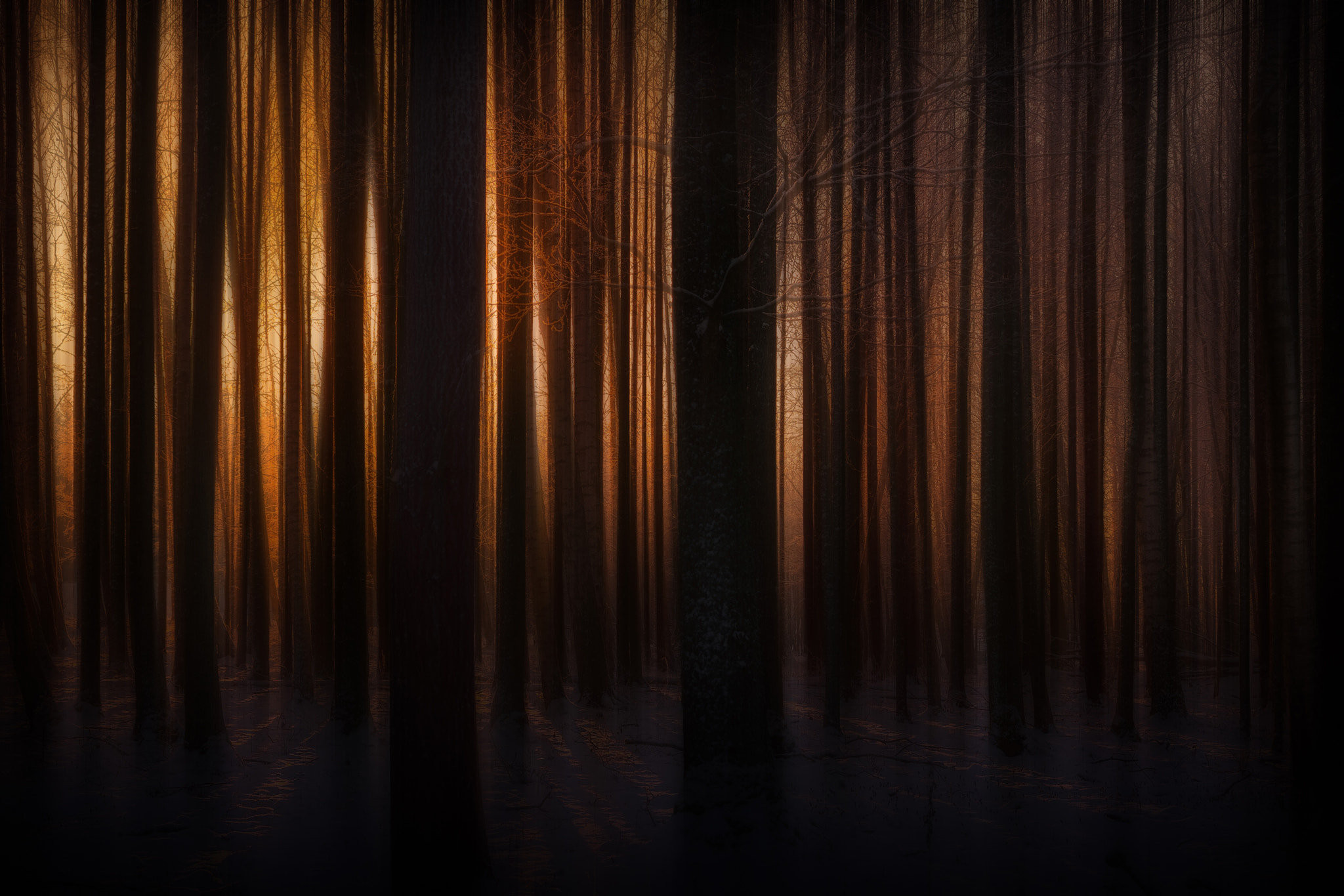Canon EF 28-80mm f/2.8-4L sample photo. Go toward the light. photography