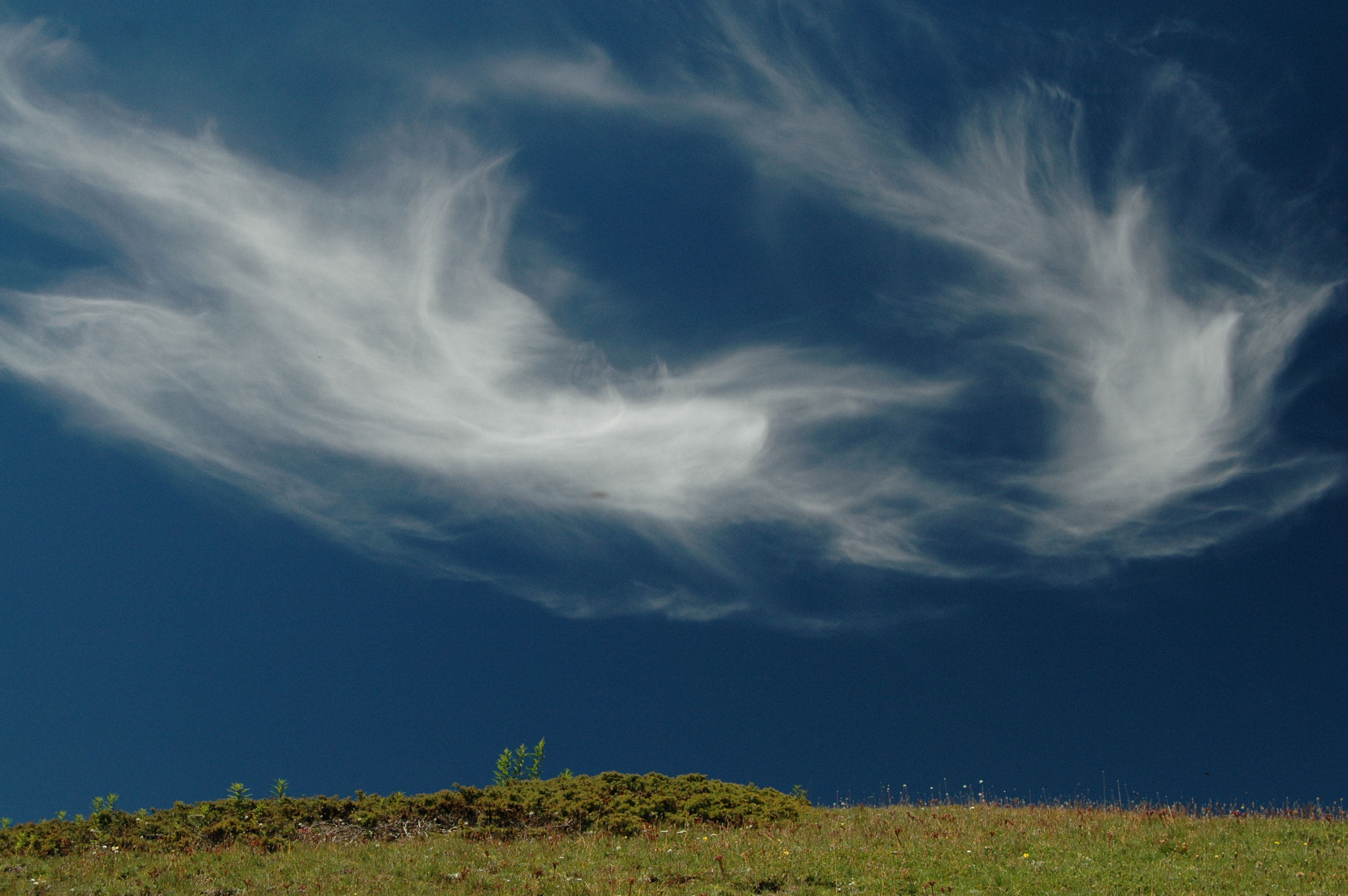 AF Zoom-Nikkor 28-80mm f/3.5-5.6D sample photo. Spiral photography