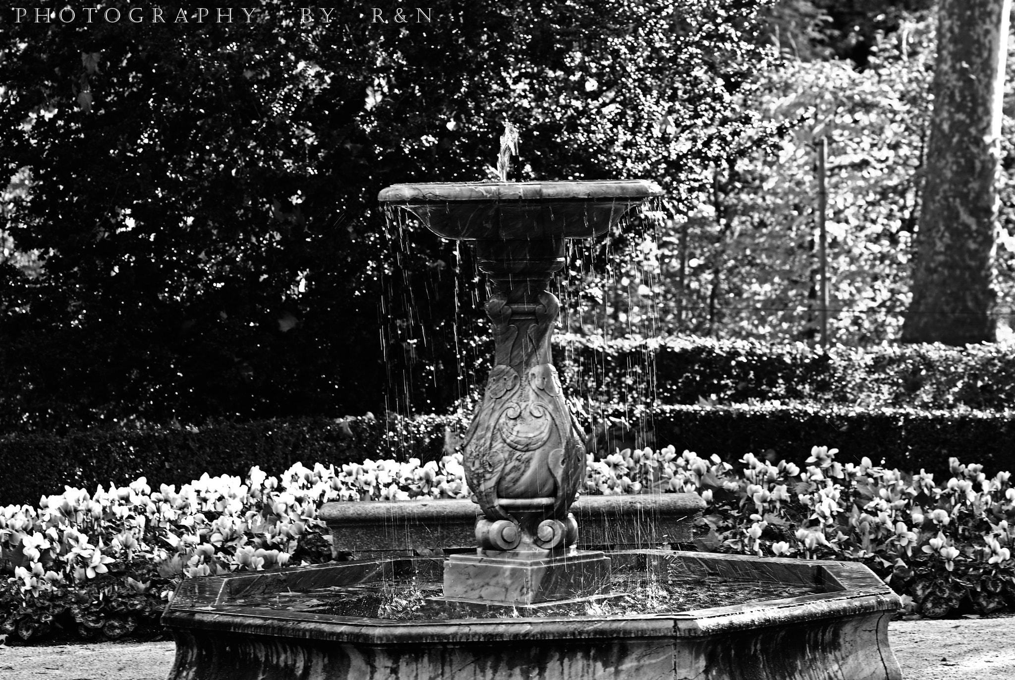 Sigma 105mm F2.8 EX DG OS HSM sample photo. Parque el capricho photography