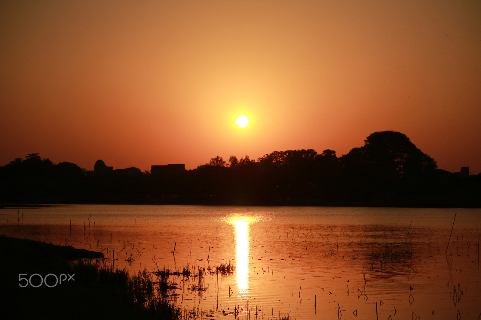 Canon EOS M3 sample photo. Orange days photography