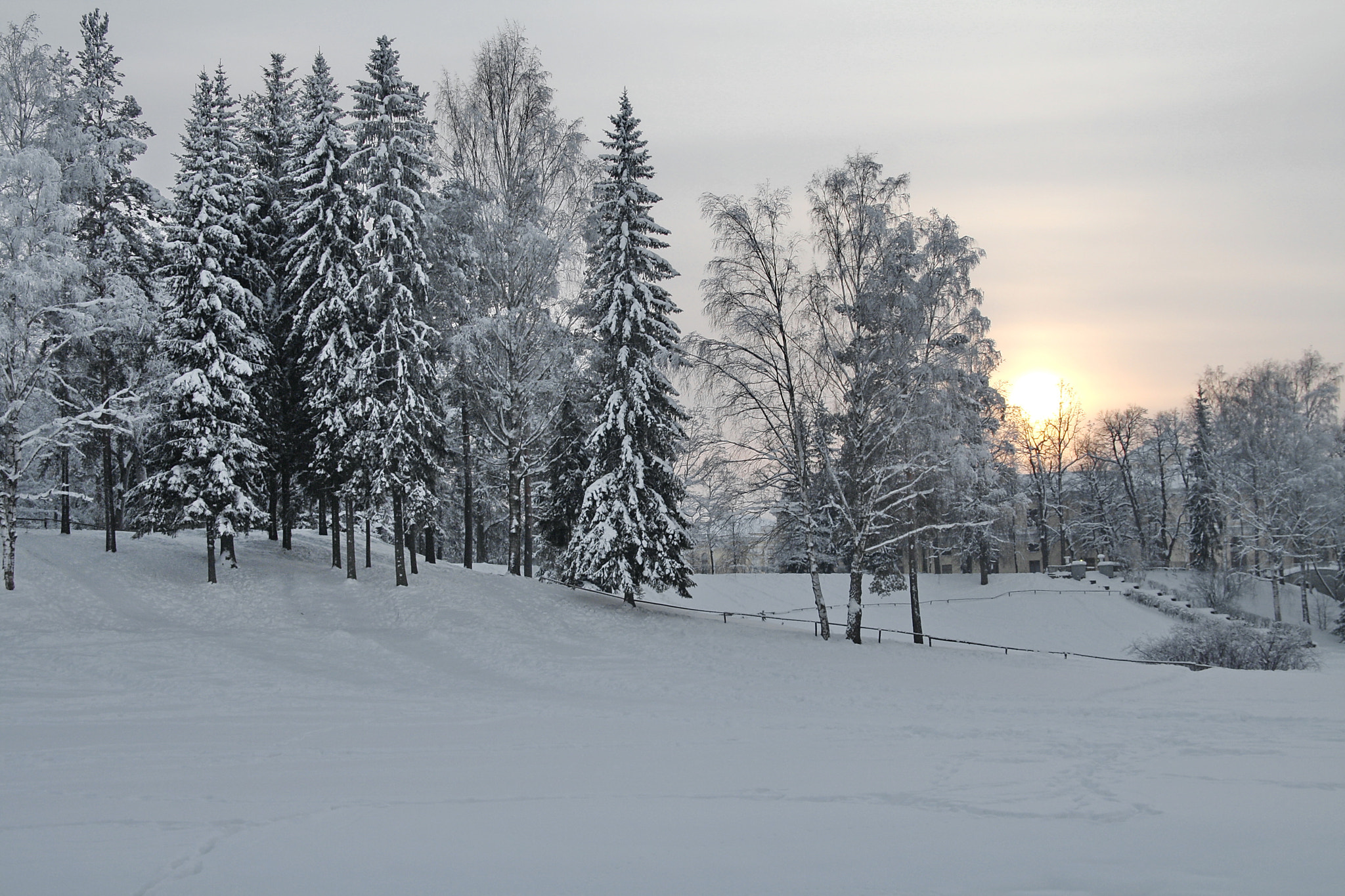 Sigma 18-125mm F3.8-5.6 DC OS HSM sample photo. Winter park. sunset photography