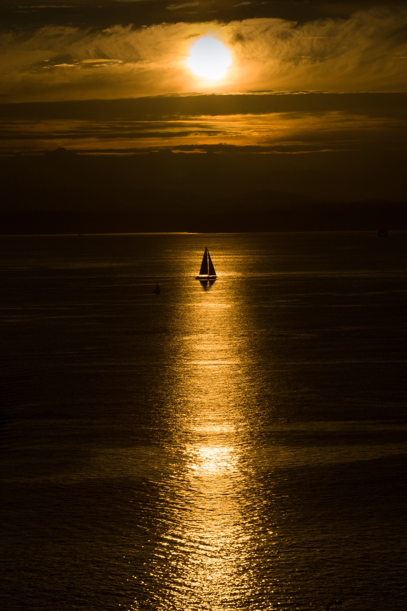 Canon EOS 30D + Canon EF 70-300mm F4-5.6 IS USM sample photo. Sailing into the golden light photography